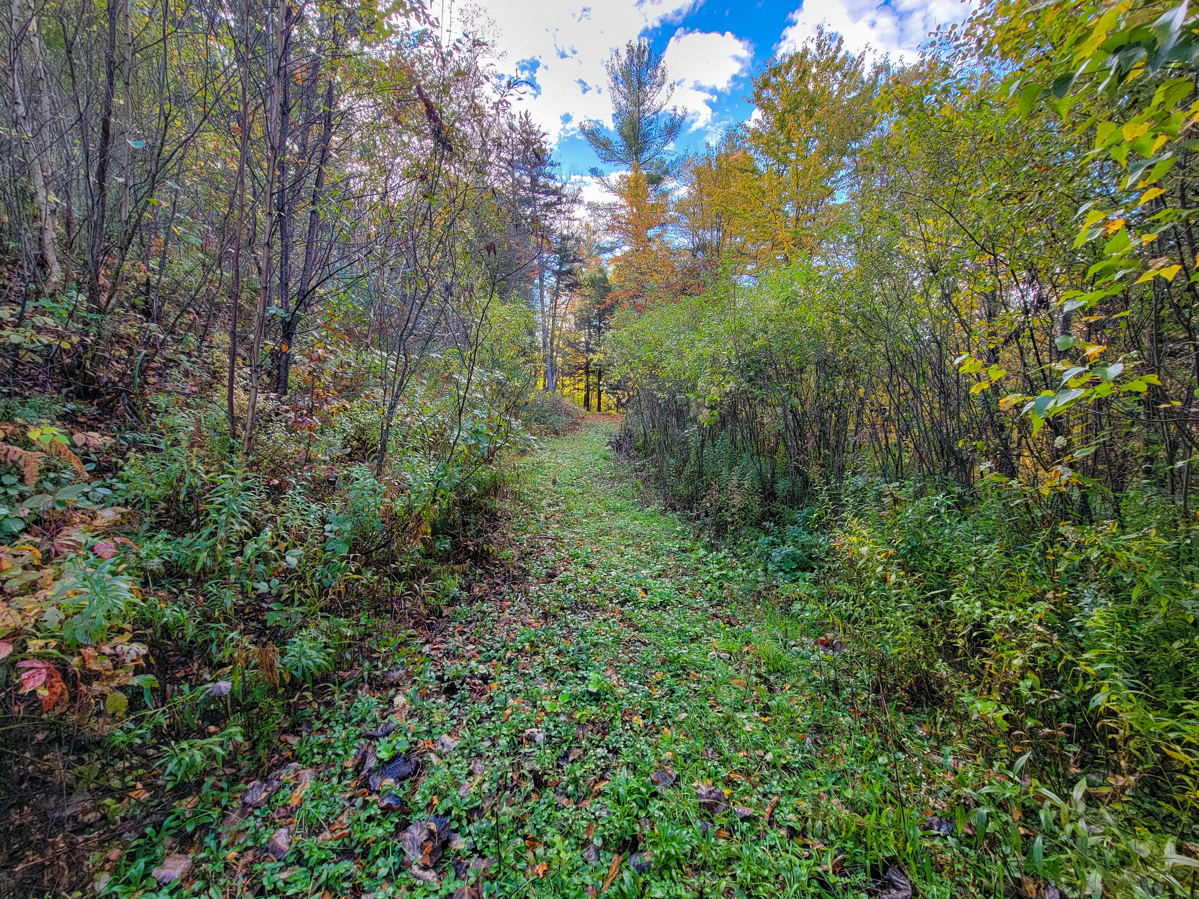 Listing Image 23