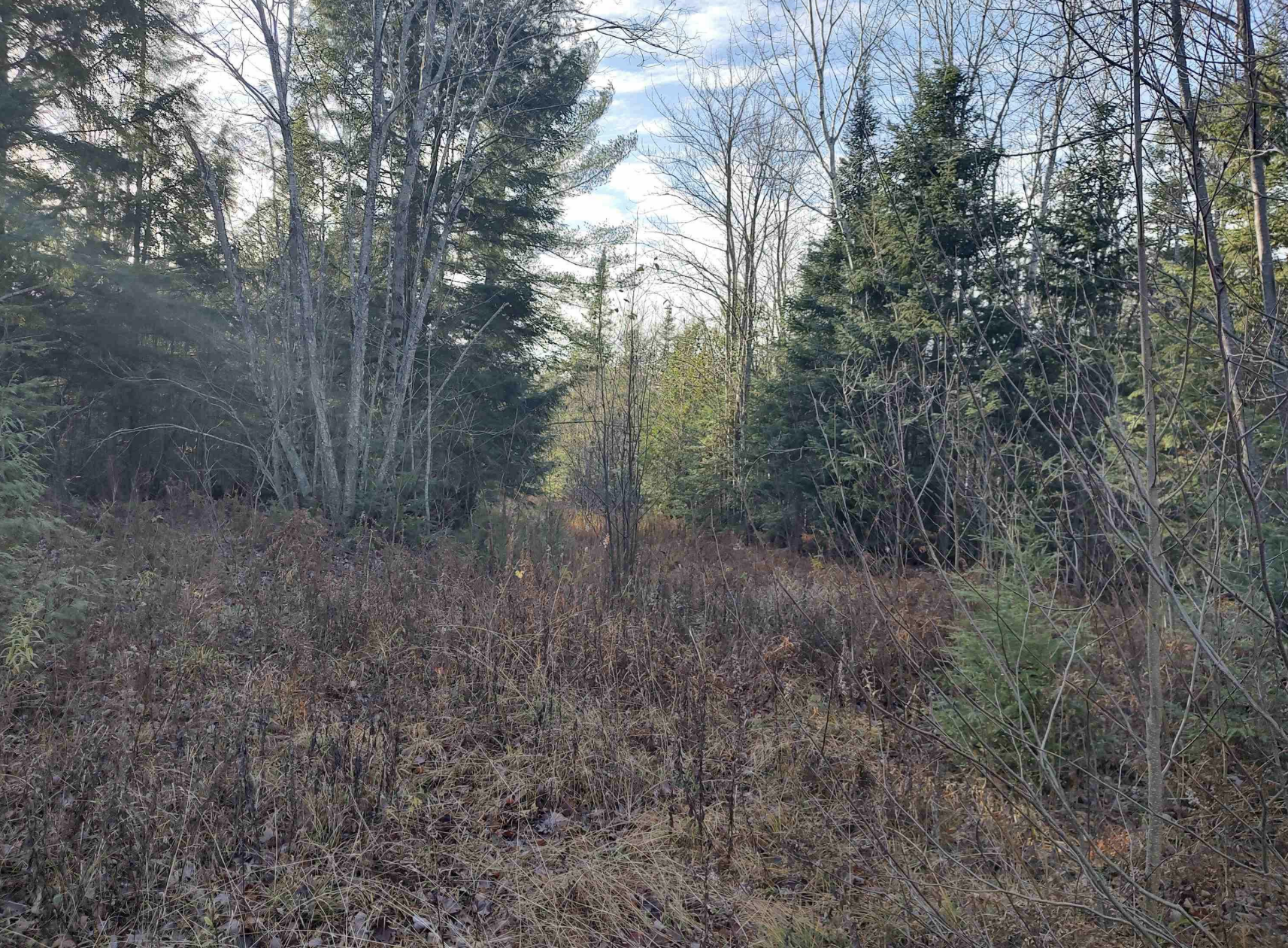 Northwoods Recreation Haven 50184509
