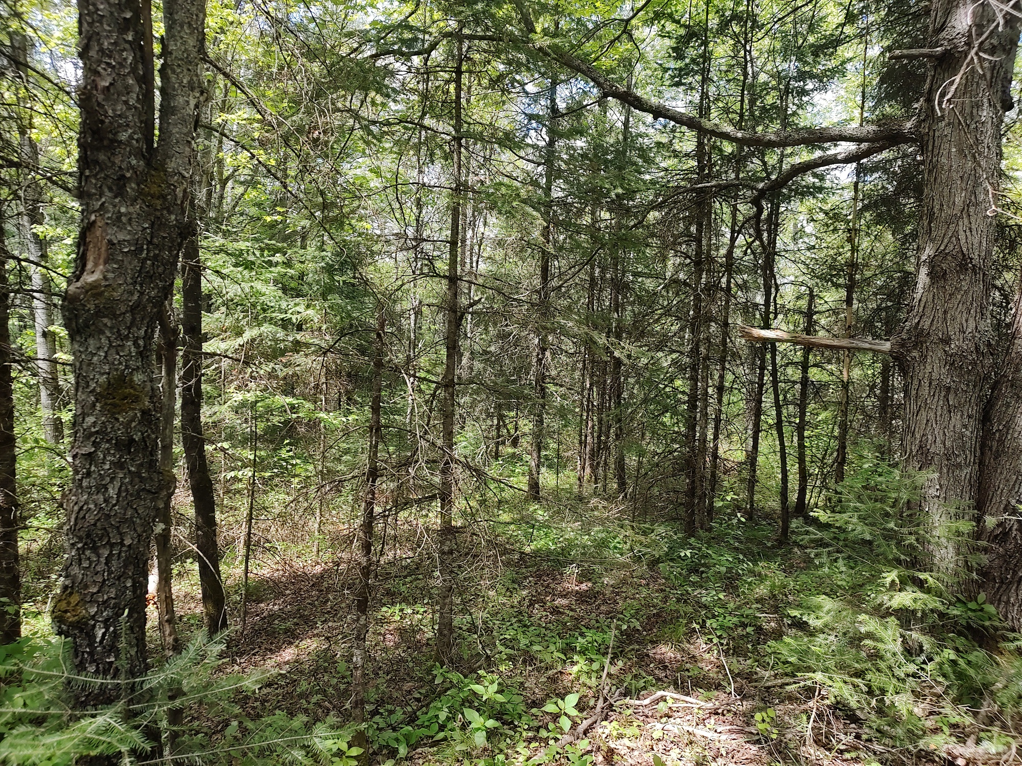 160 Acre Wilderness Retreat 50175391