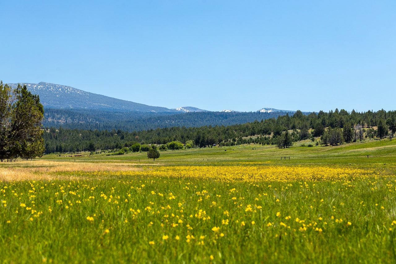 Parker Creek Ranch