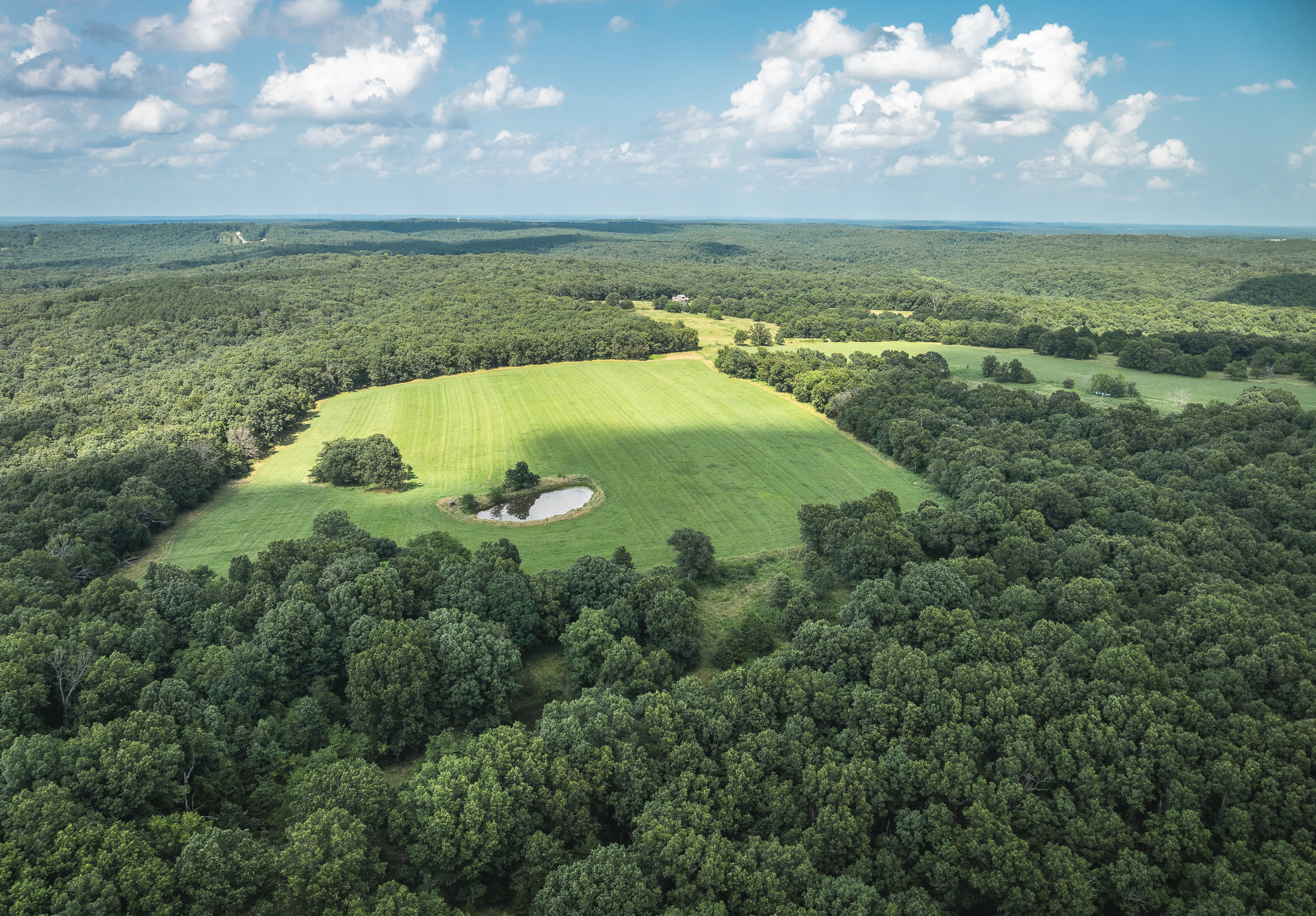Gasconade Angus Ranch