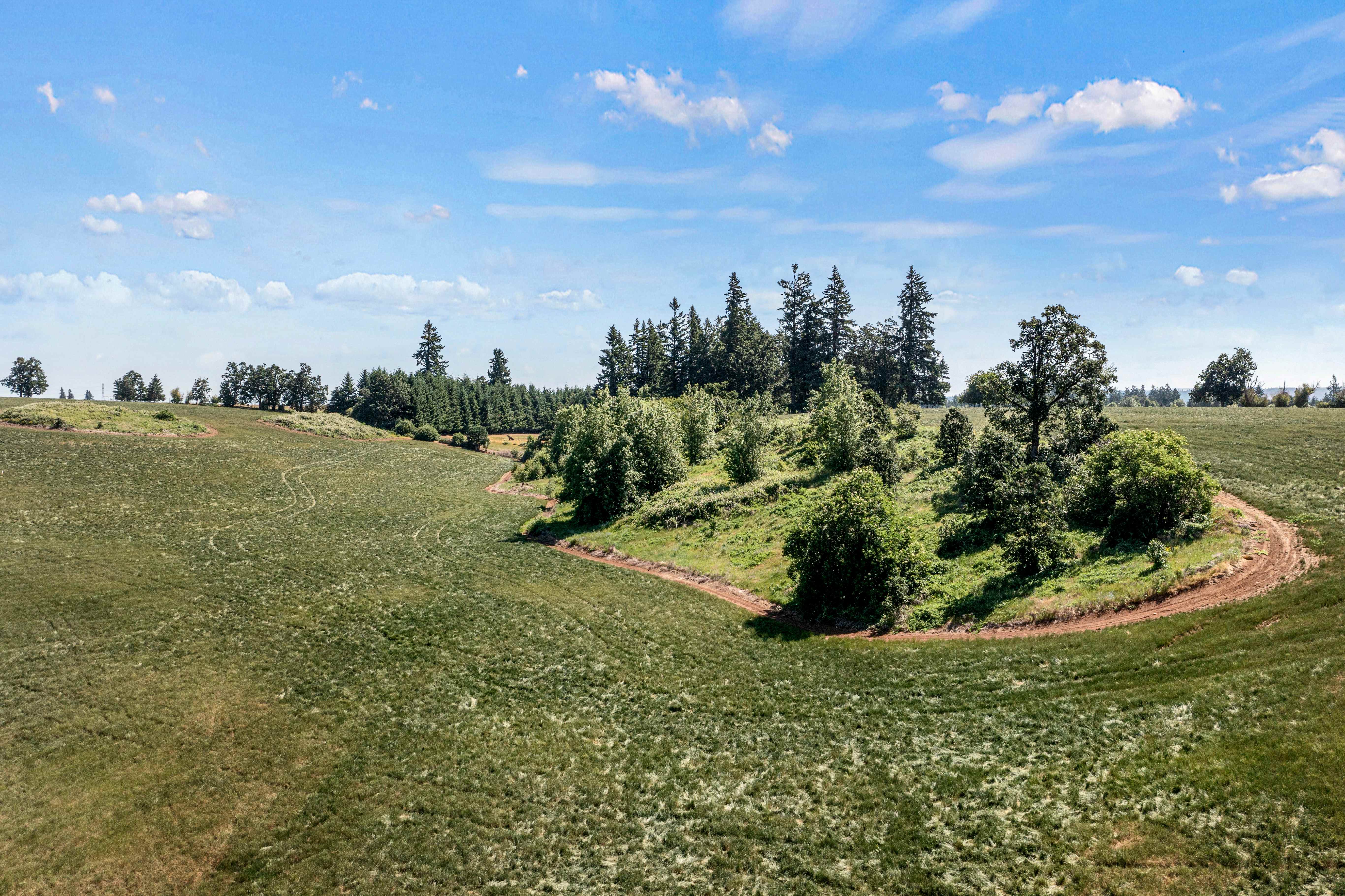 Sublimity 152 — Productive Willamette Valley Farm for Sale with Creek Frontage and Homesite Potential