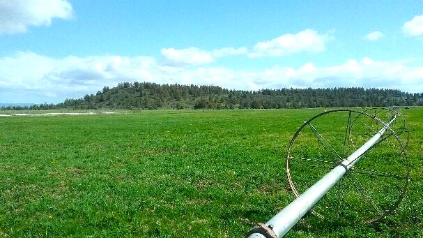 Lennon Lookout Ranch