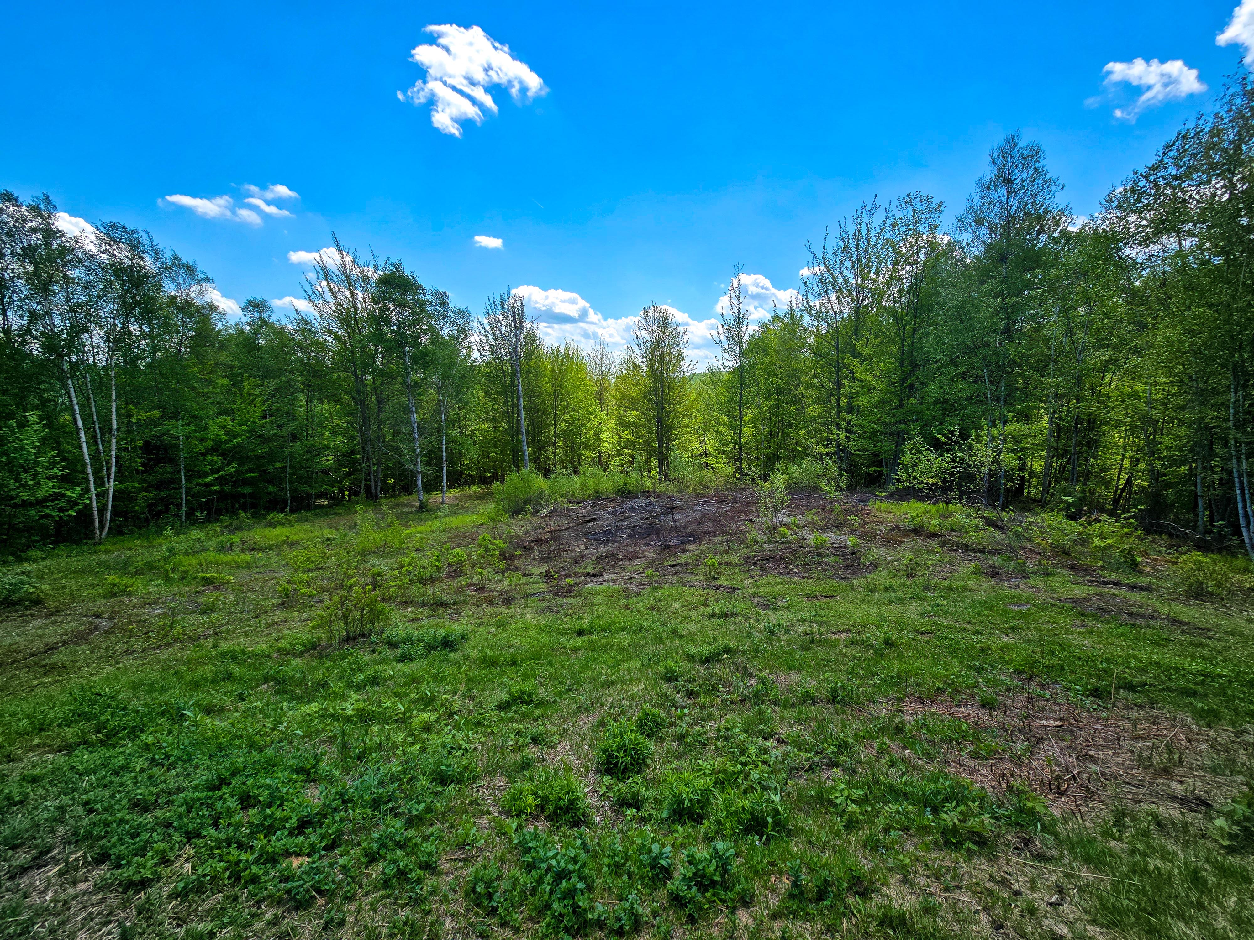 Listing Image 24
