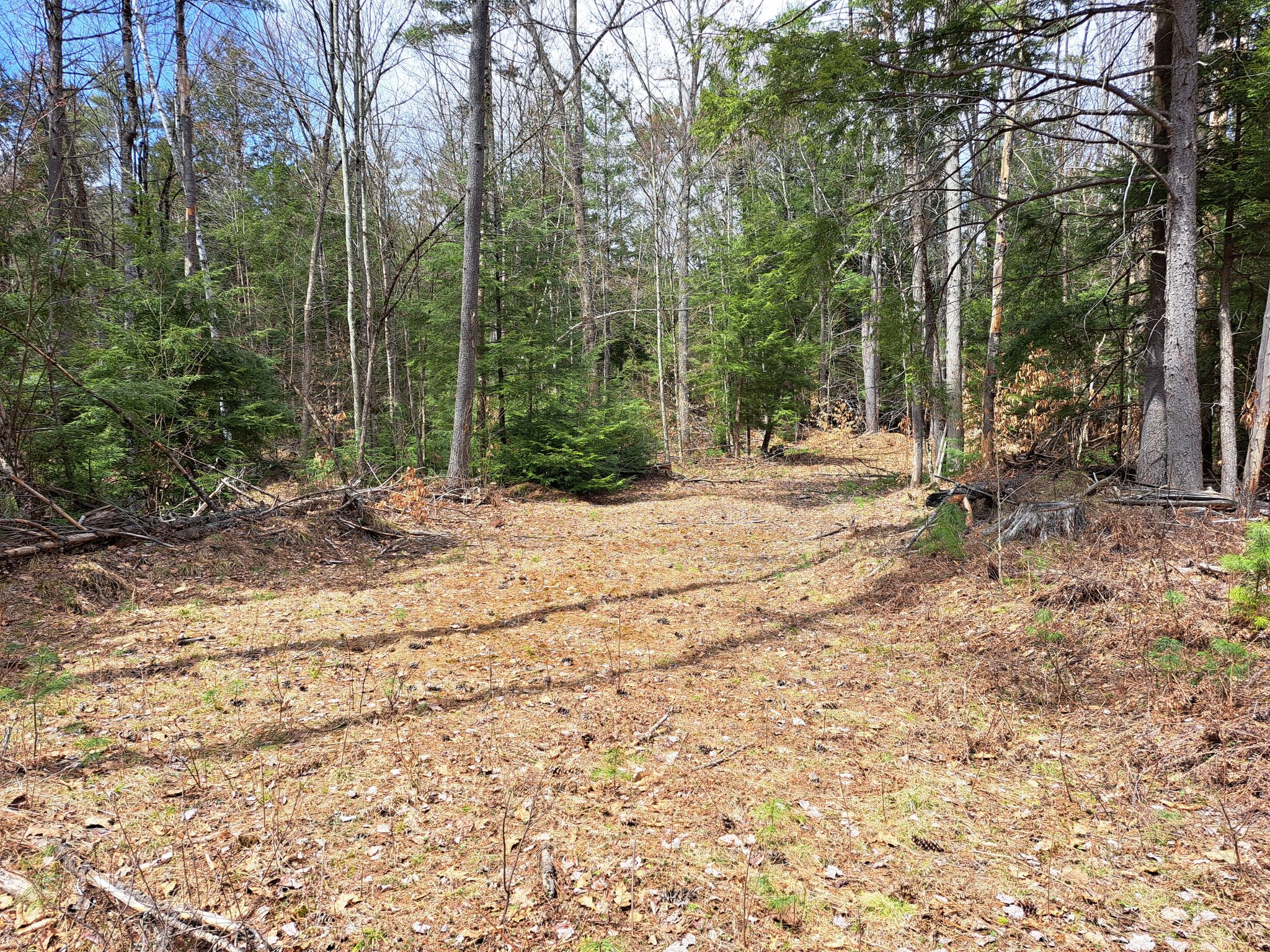 Listing Image 49