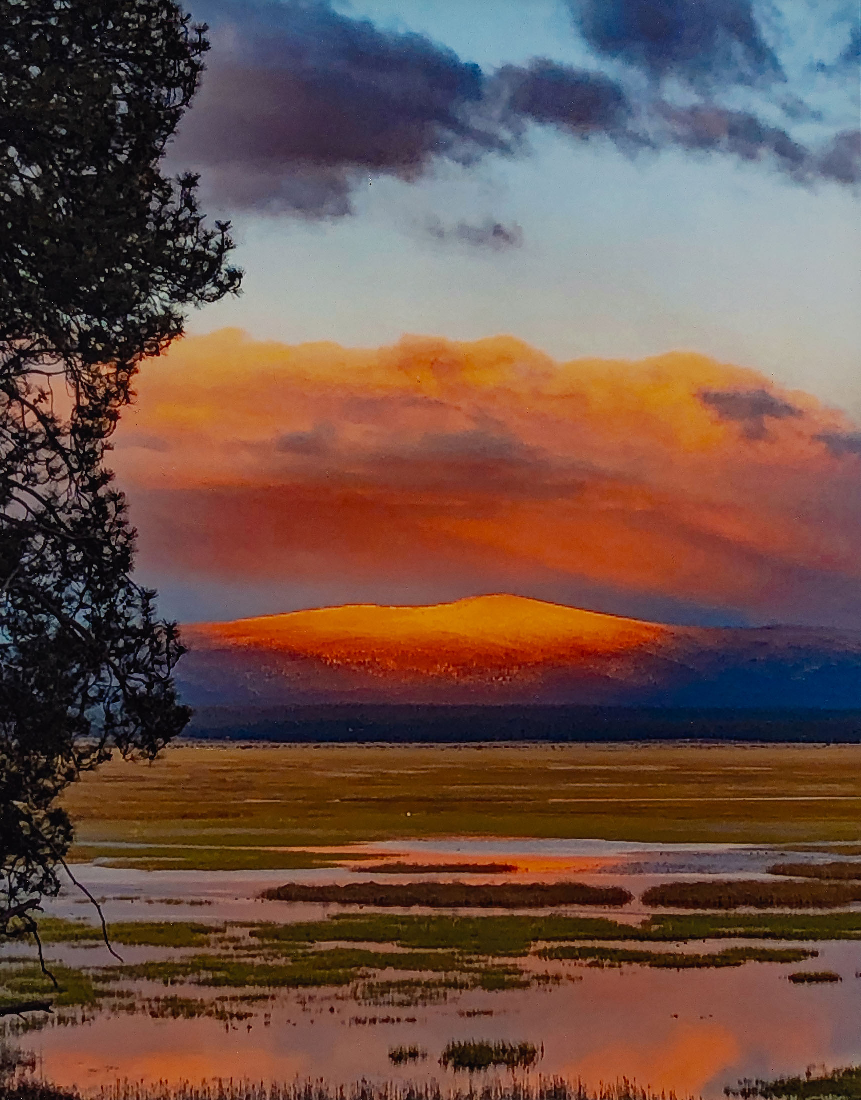 Klamath Marsh Retreat