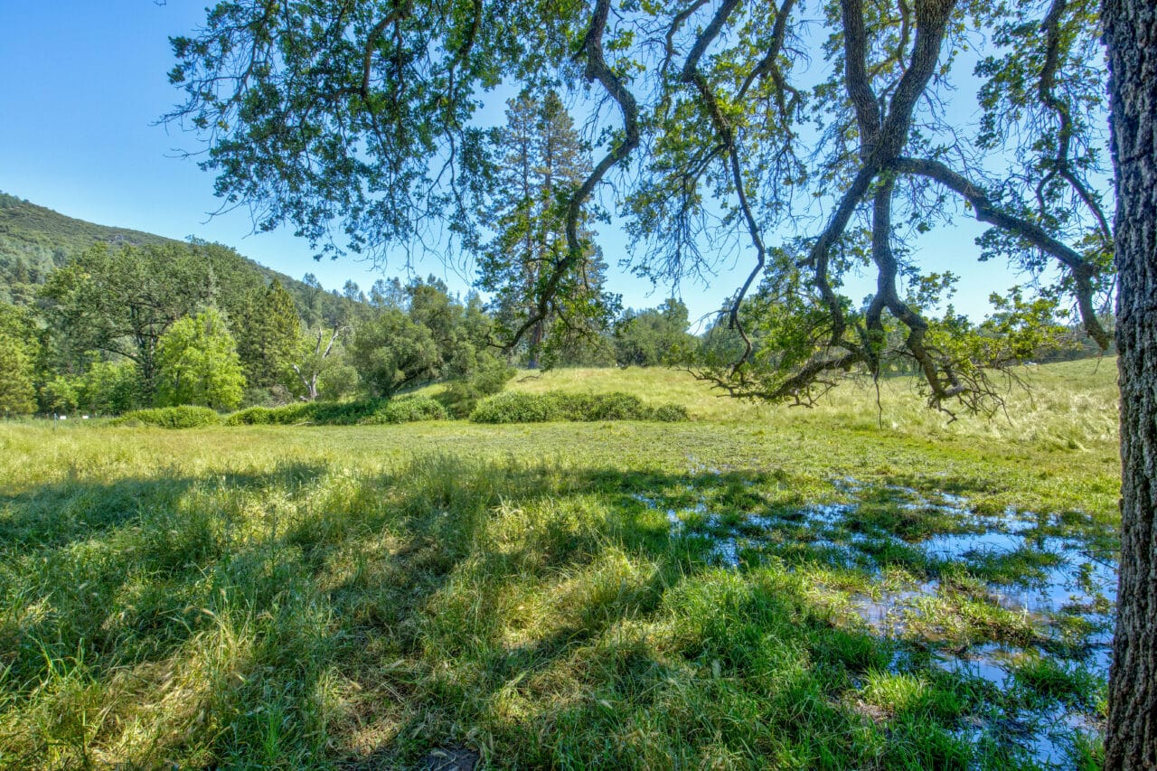 Listing Image 64