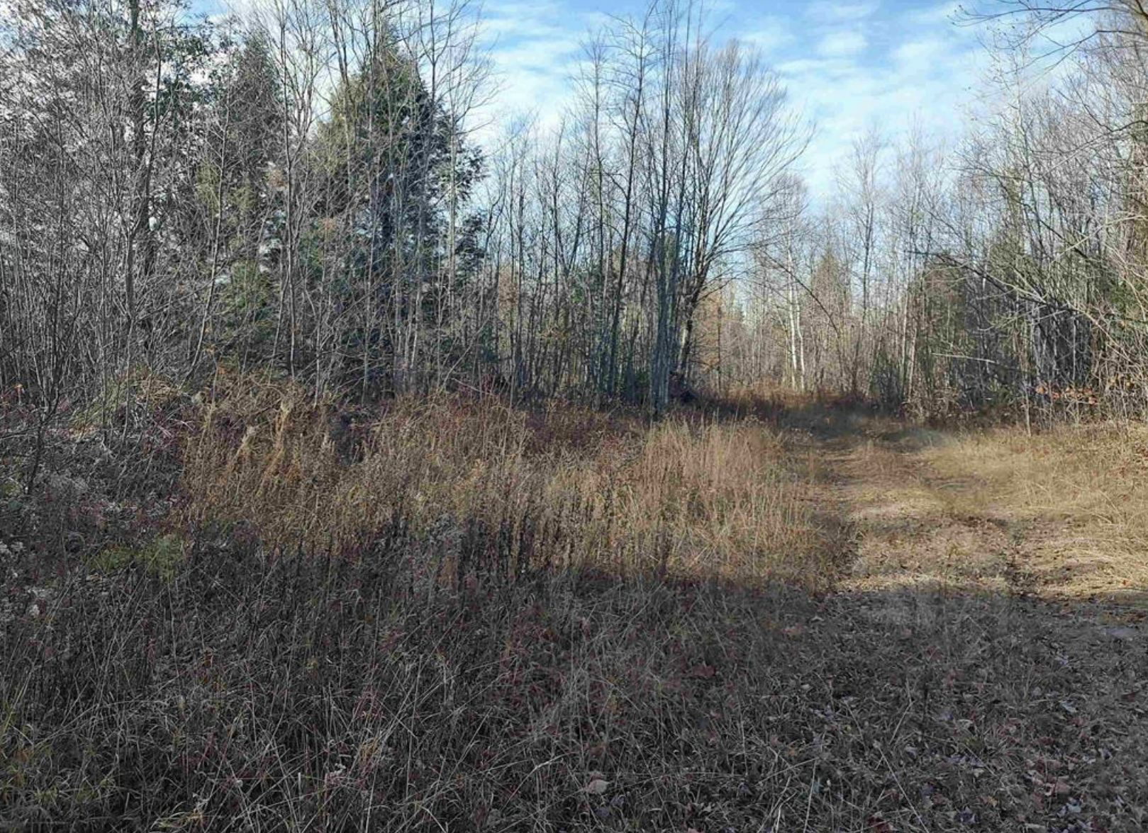 Northwoods Recreation Haven 50184509
