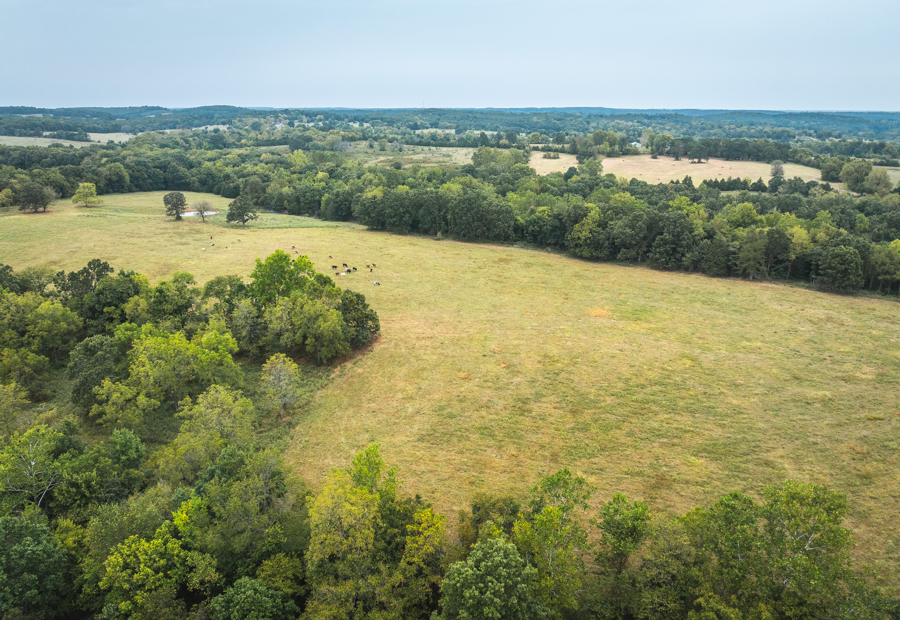 Twin Creek Farm