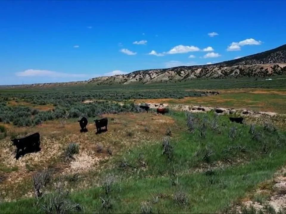 Maybell Grazing & Big Game Ranch