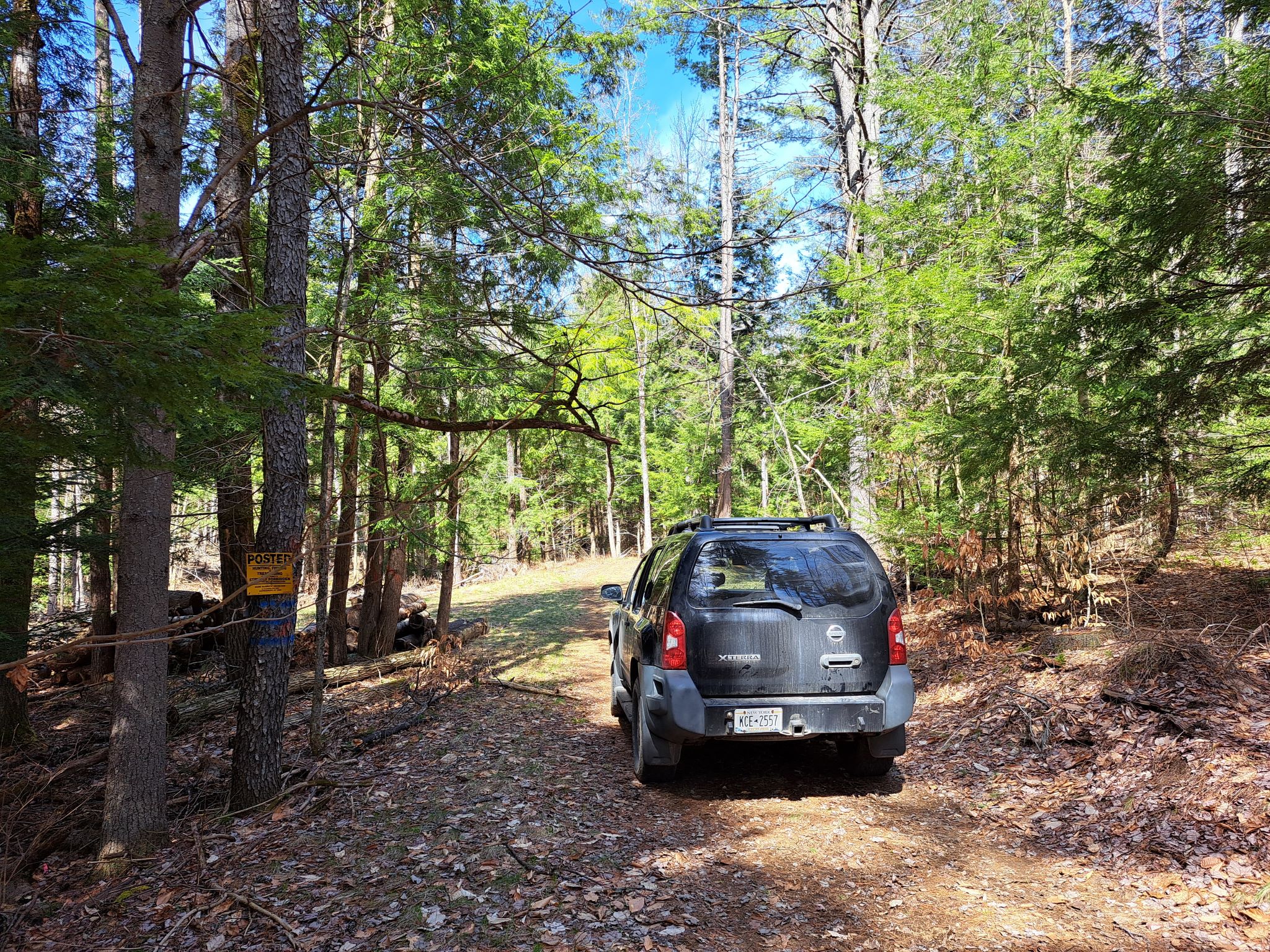 Listing Image 21