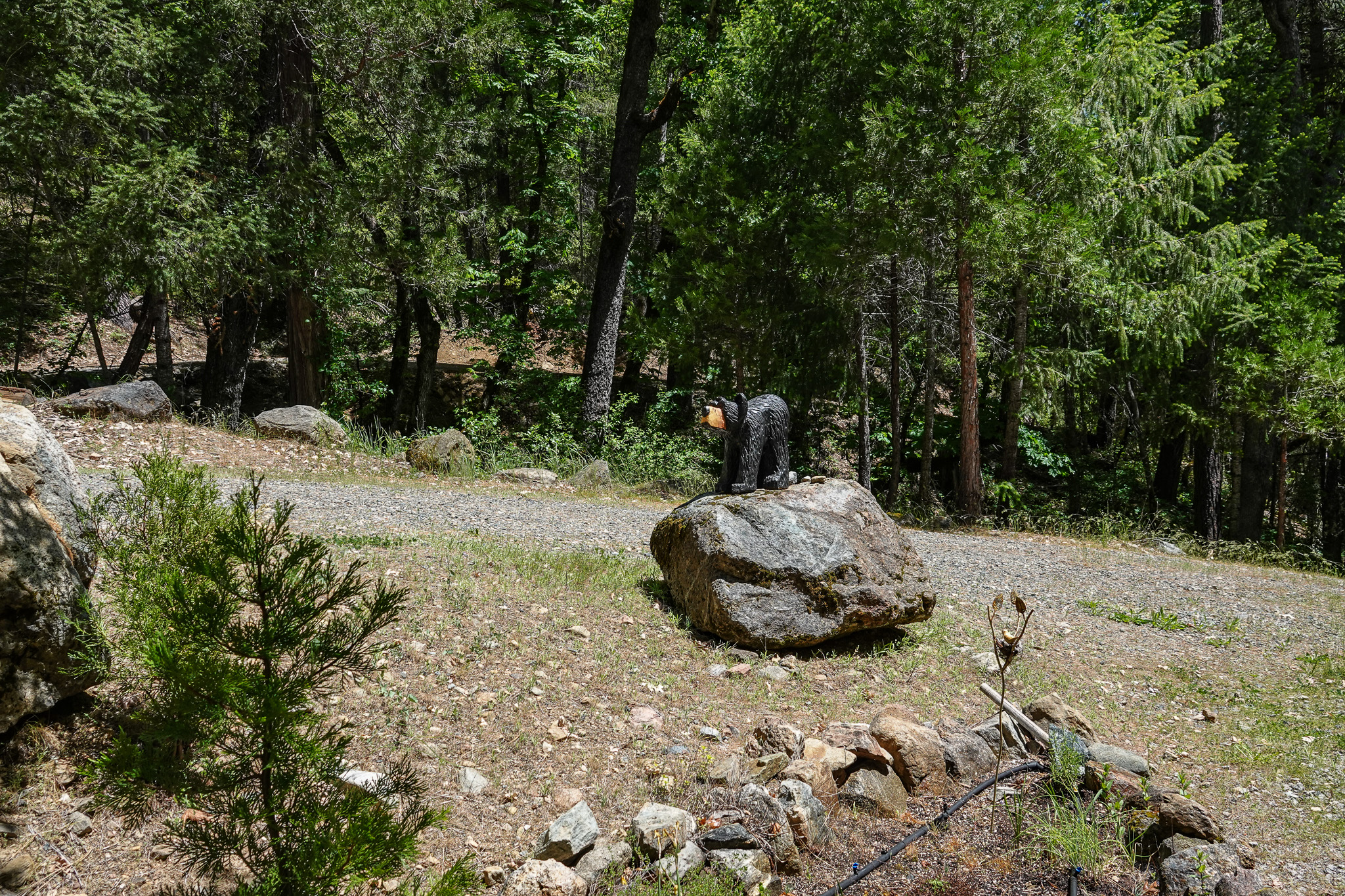 Scott River Cabin