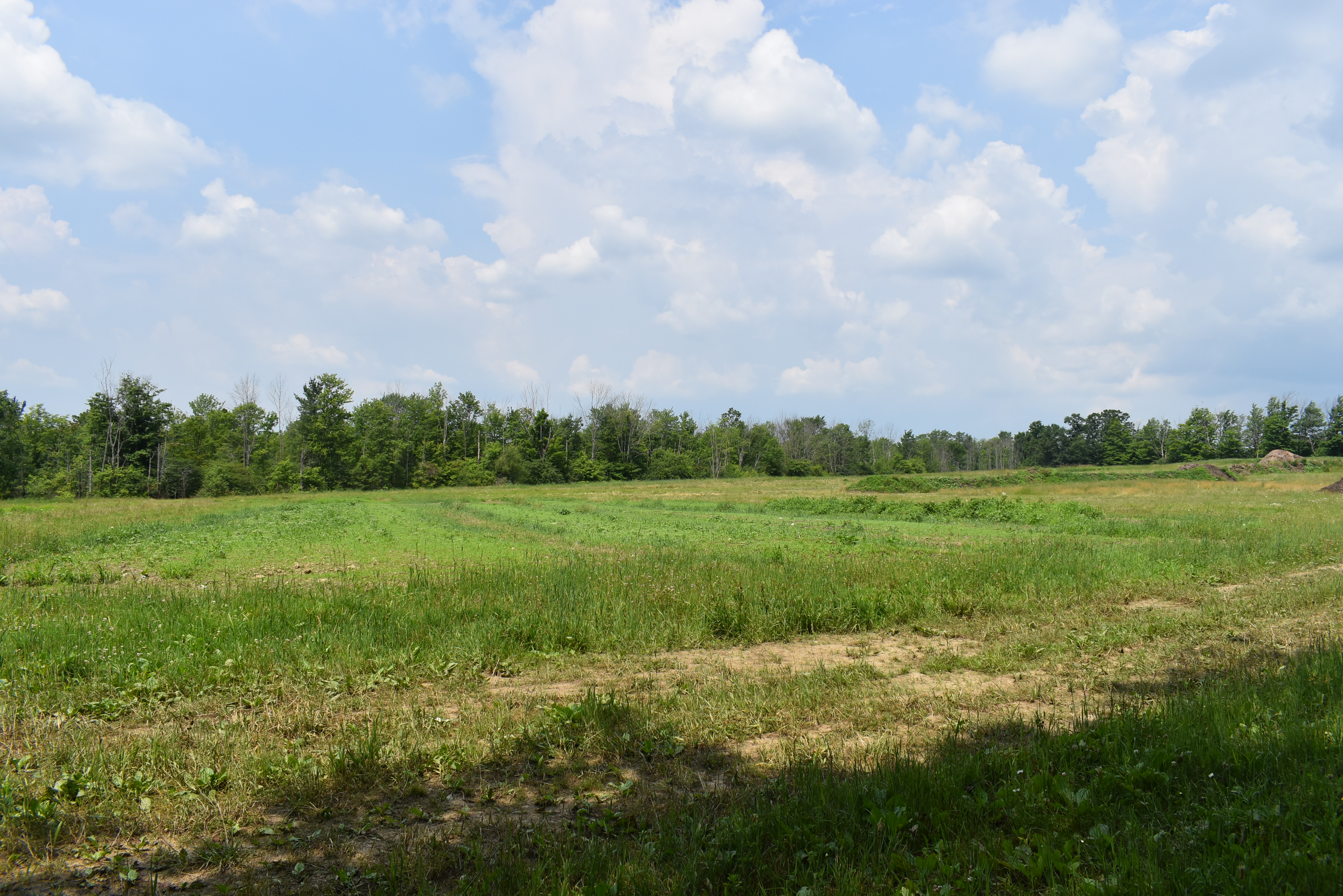 Listing Image 51