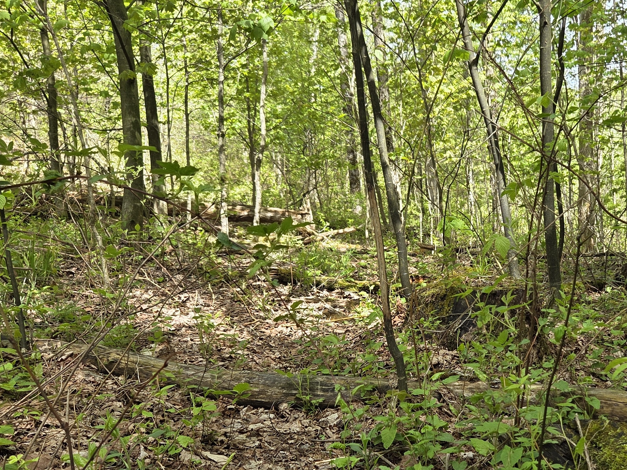 Listing Image 48