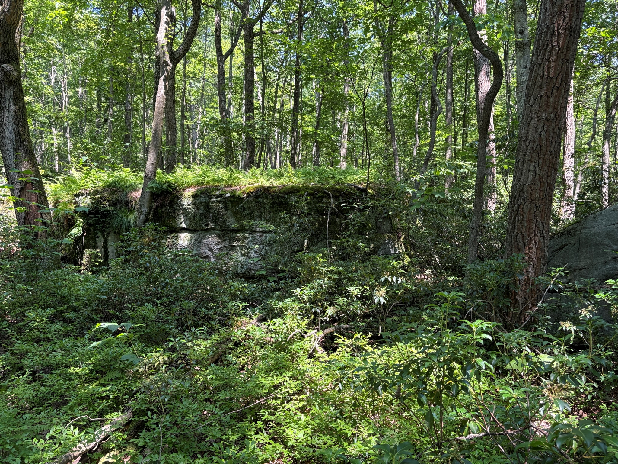 Listing Image 41
