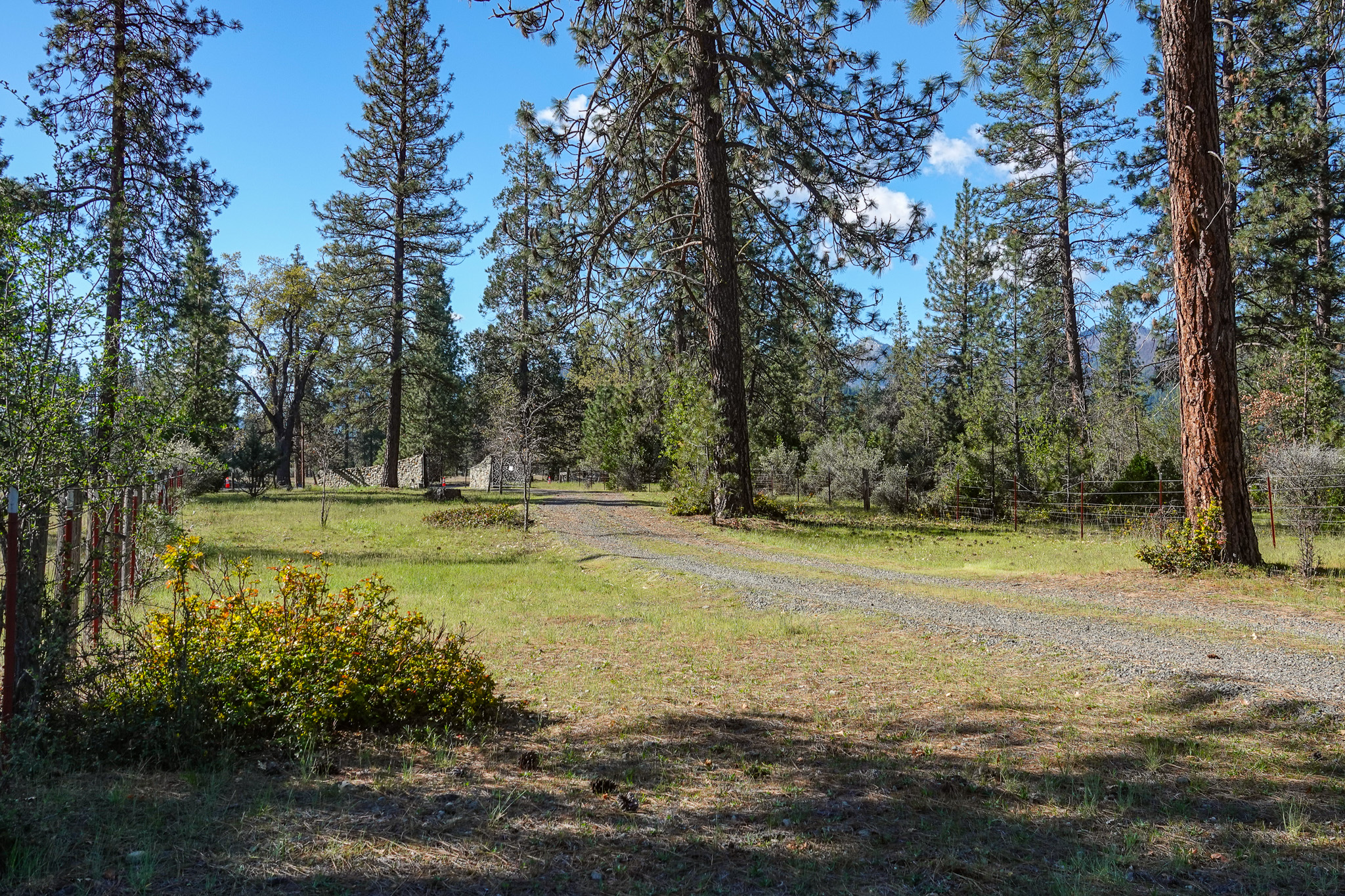 Listing Image 40