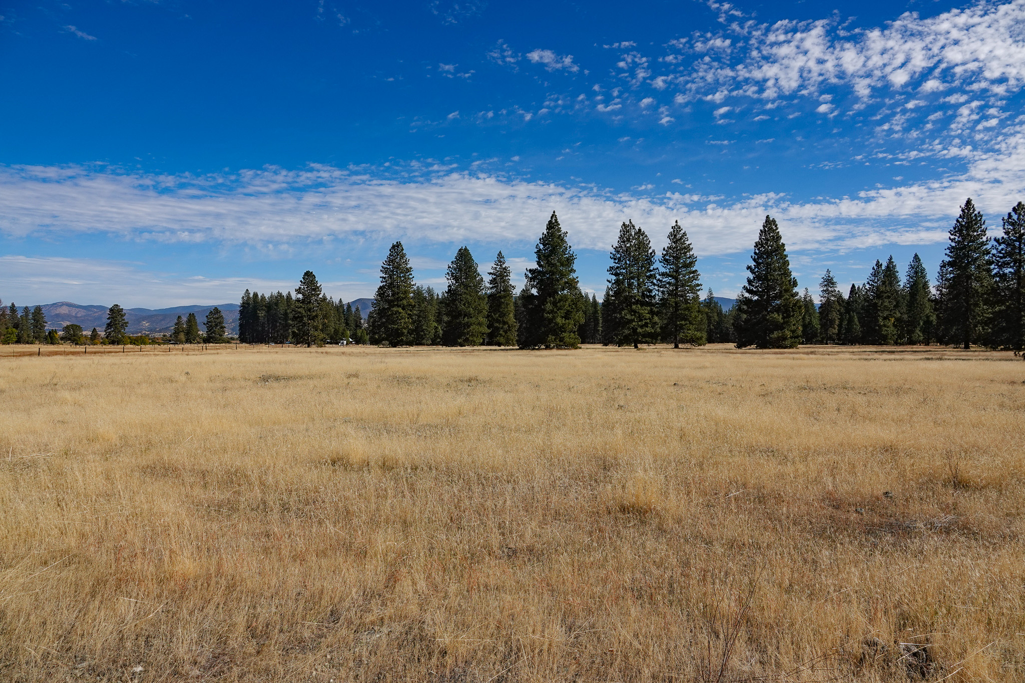Mountain View Meadow
