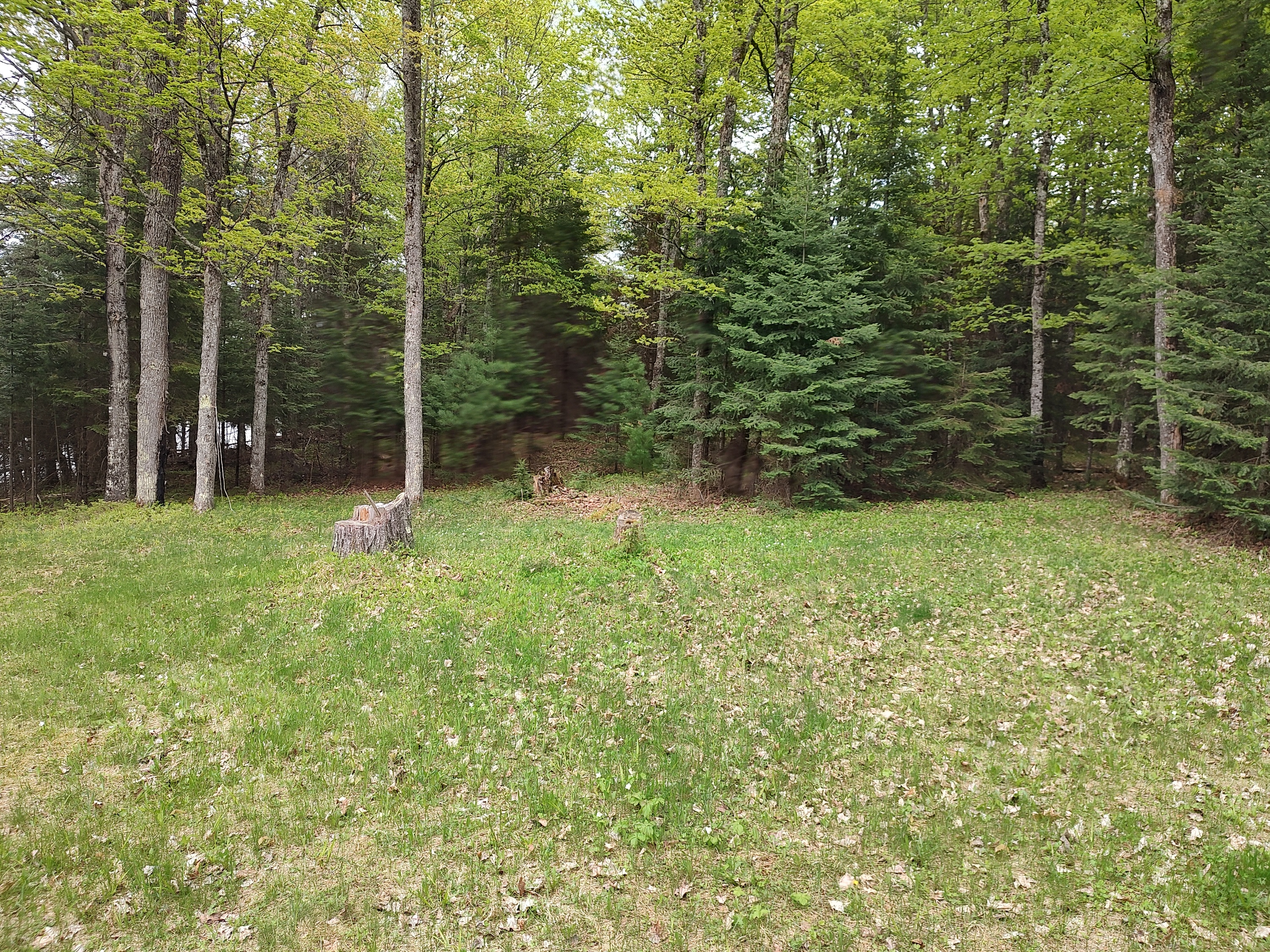 U.P. Robinson Lake Parcel 50167828