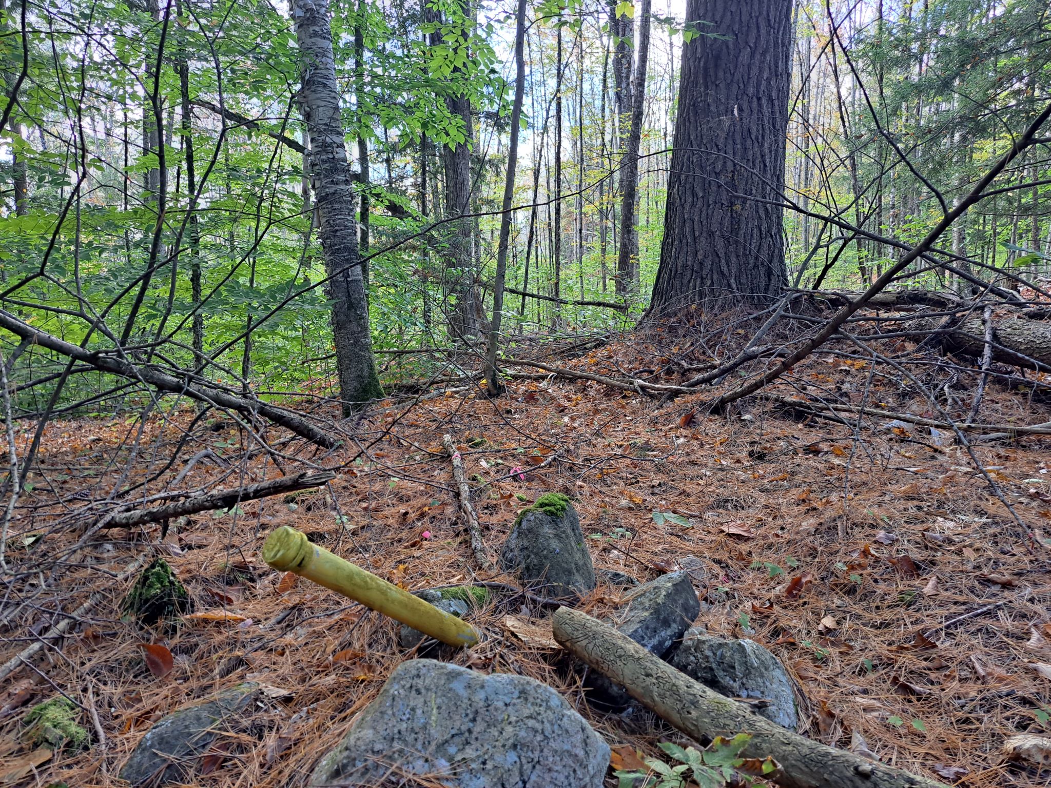 Hudson River Woods & Water