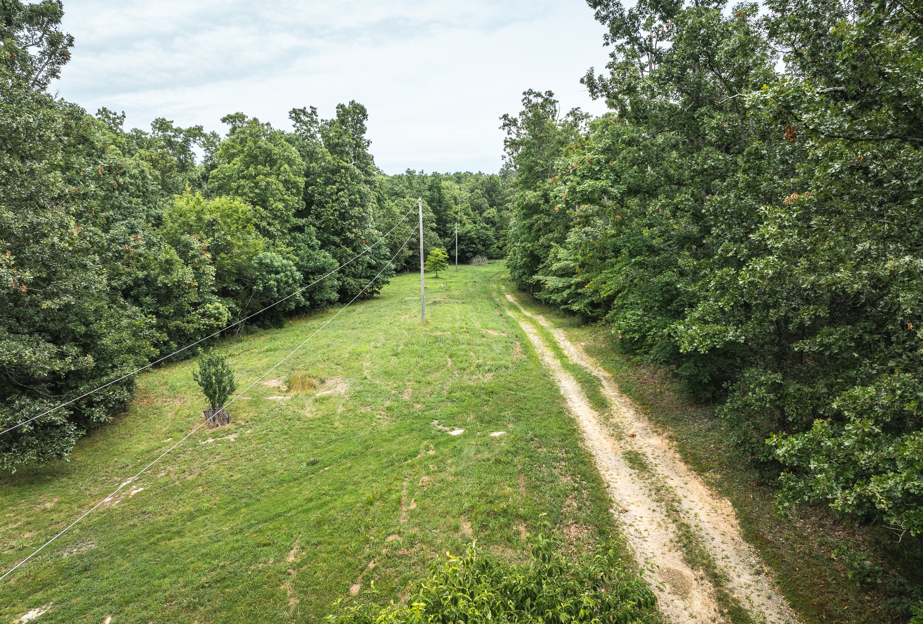 Phelps County Land & Timber 2 Tracts