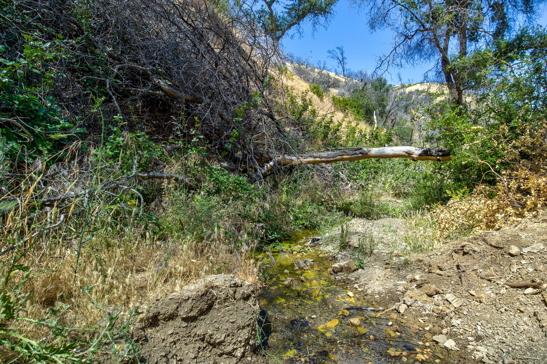 Old Iron Gate Ranch