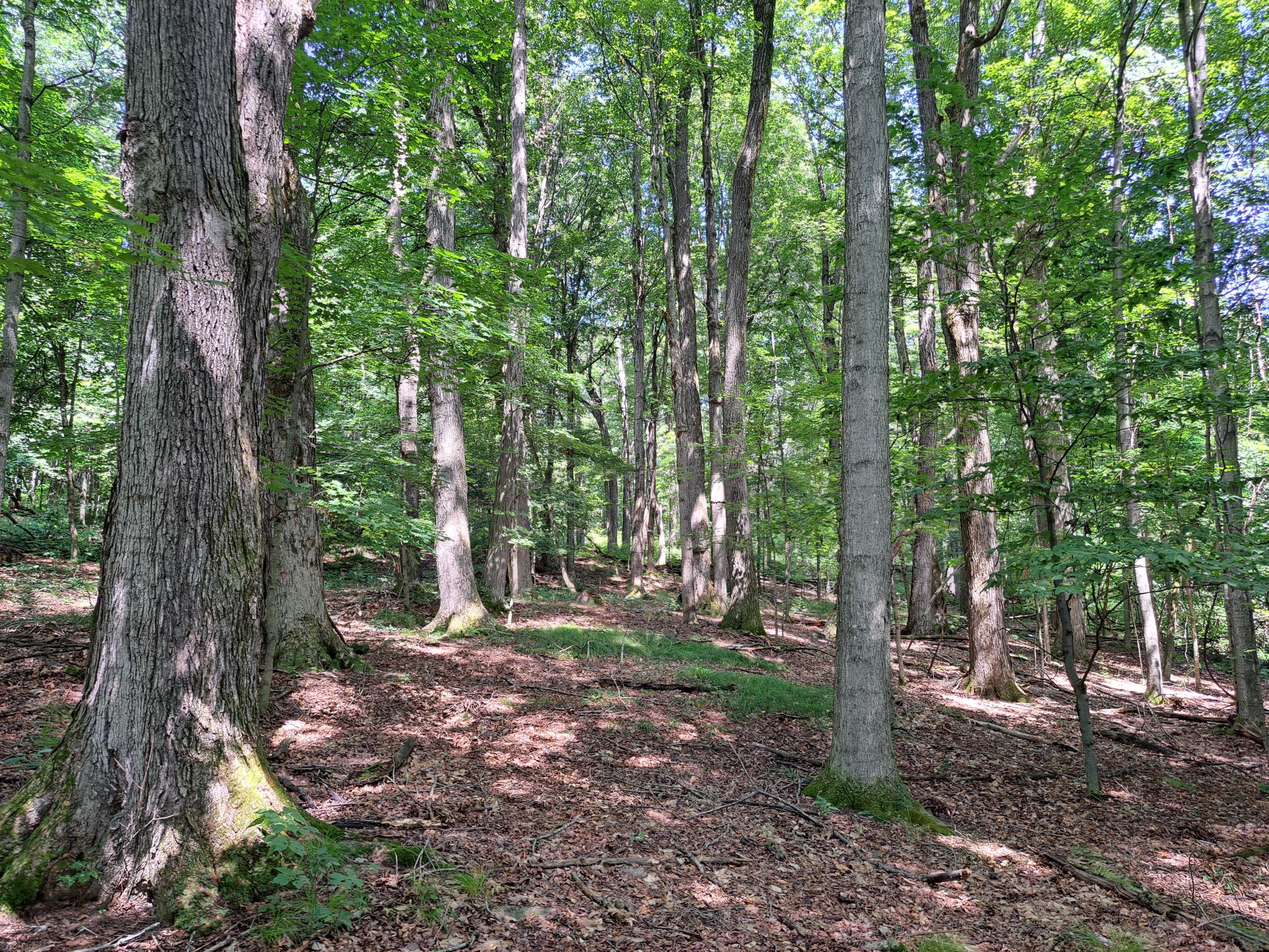 Listing Image 34