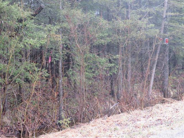 80 Acre Woodland Retreat 50173805