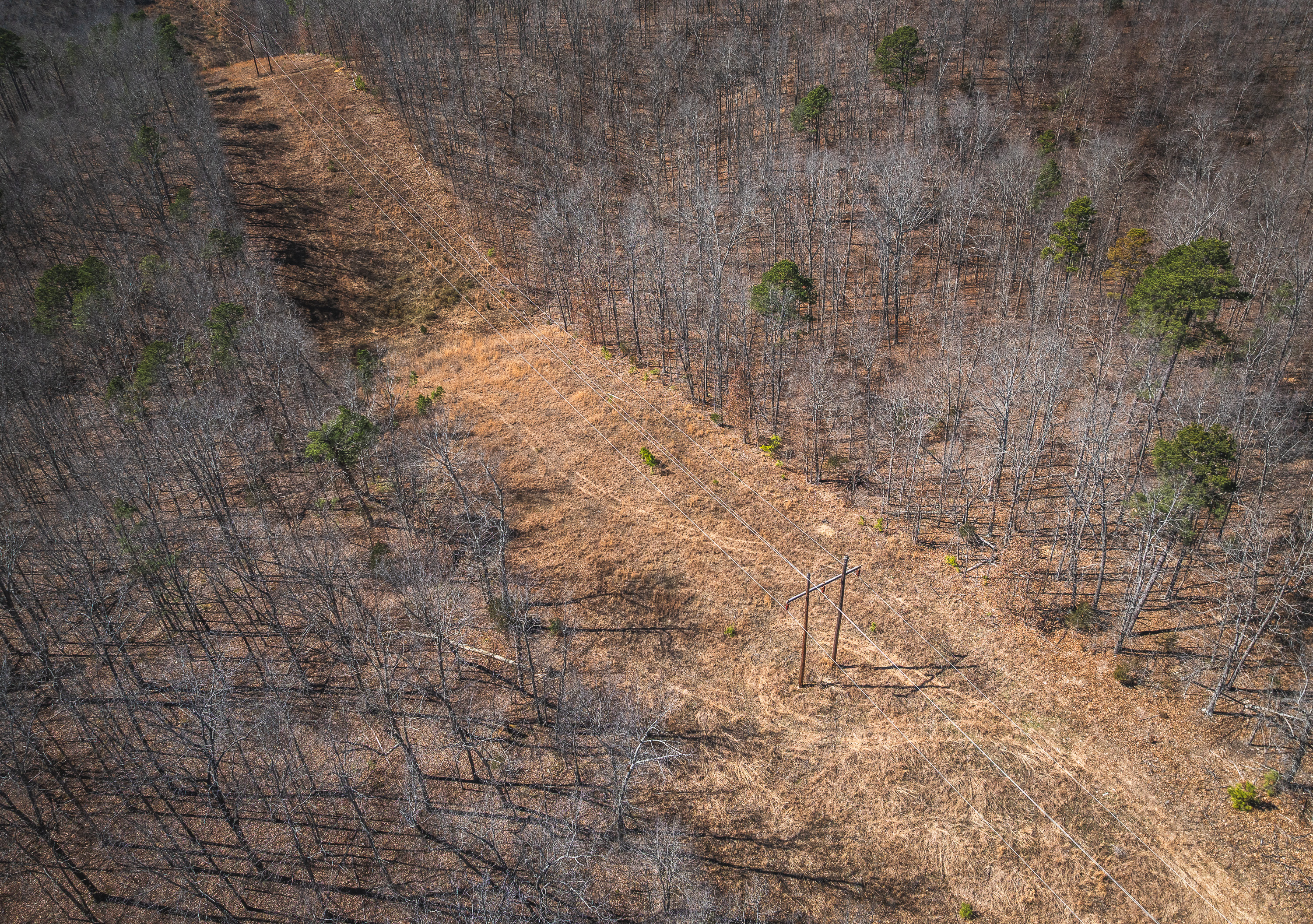 58 Acre Wildlife Retreat