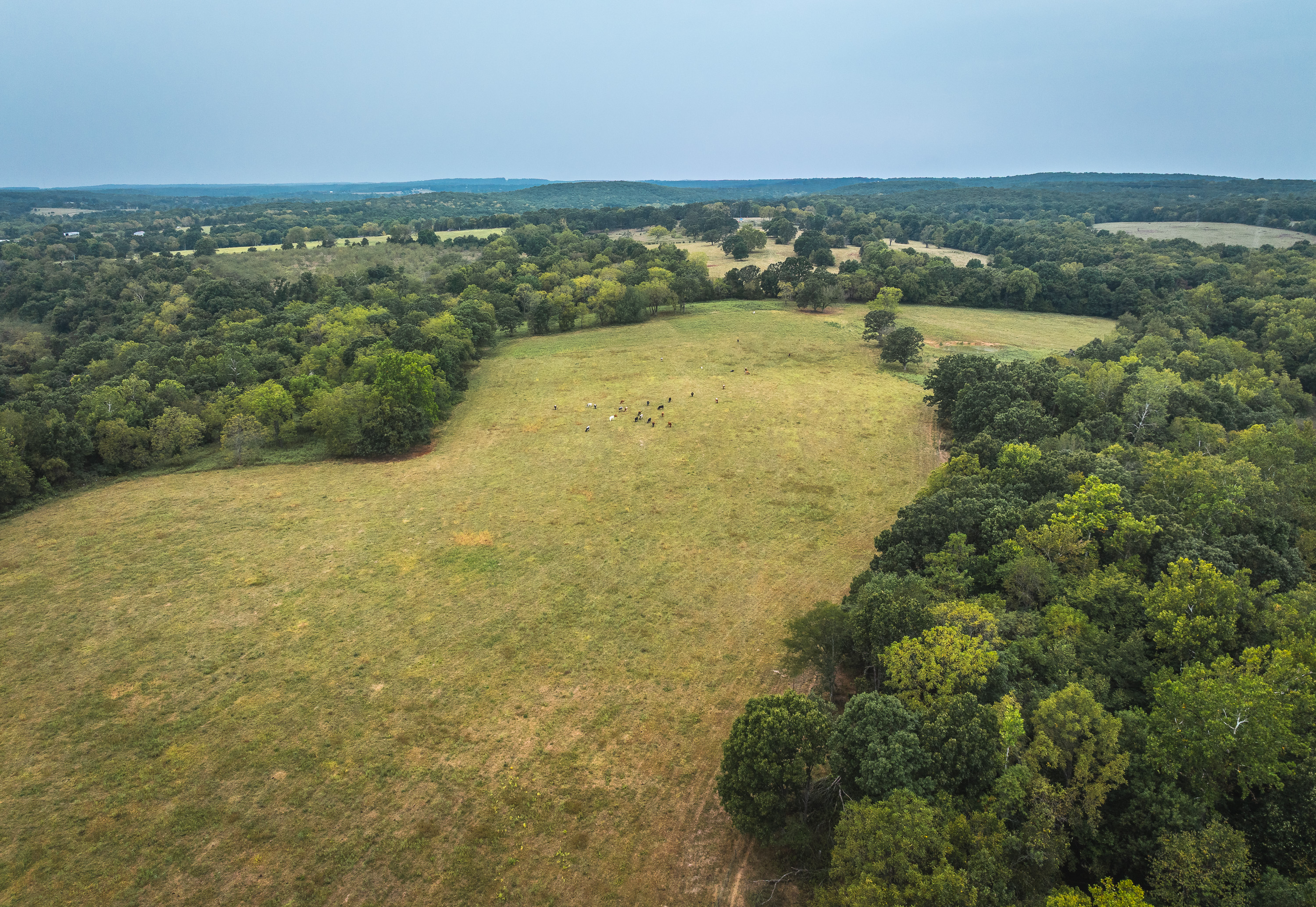 Twin Creek Farm