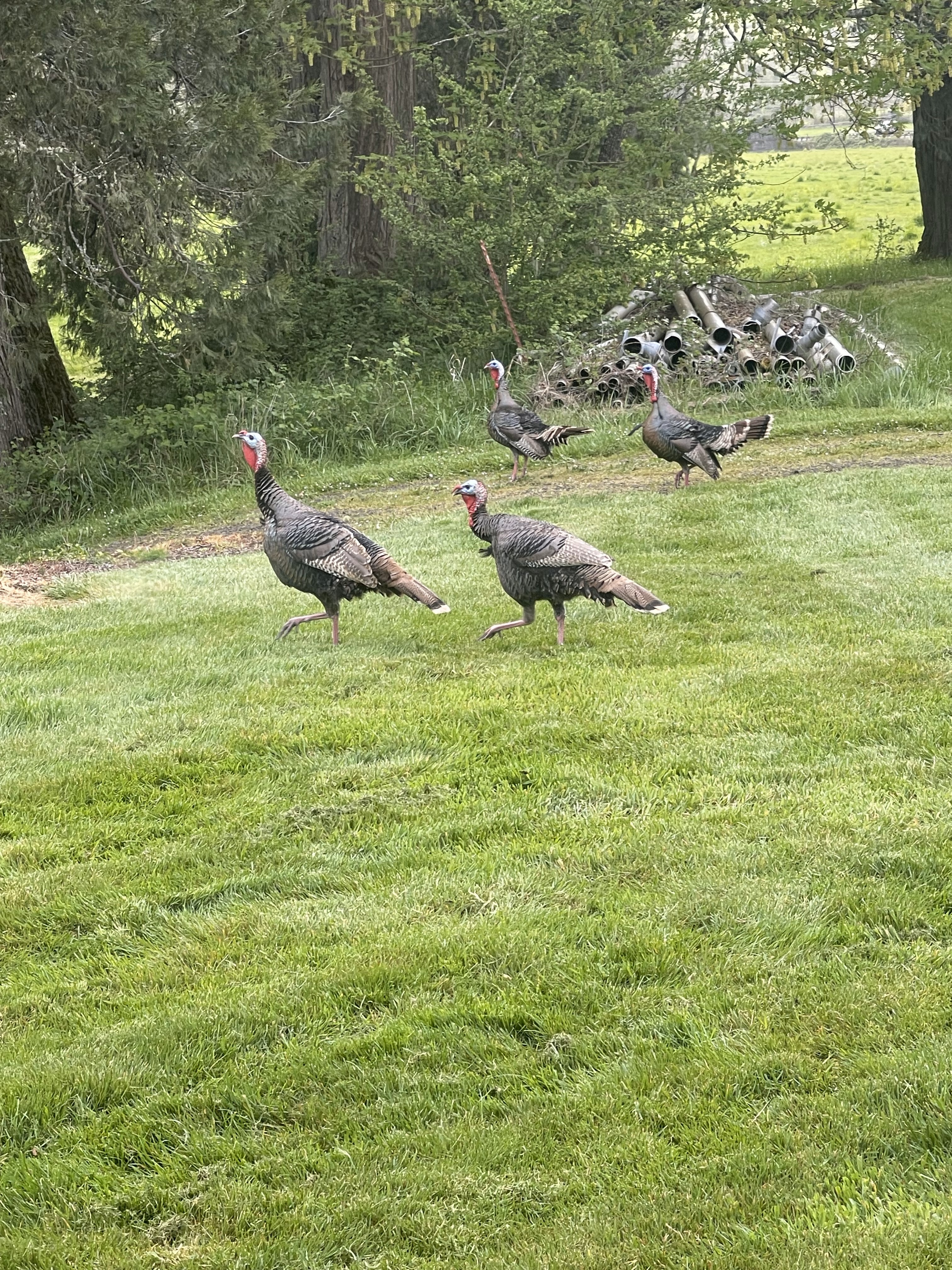 Kielblock Ranch