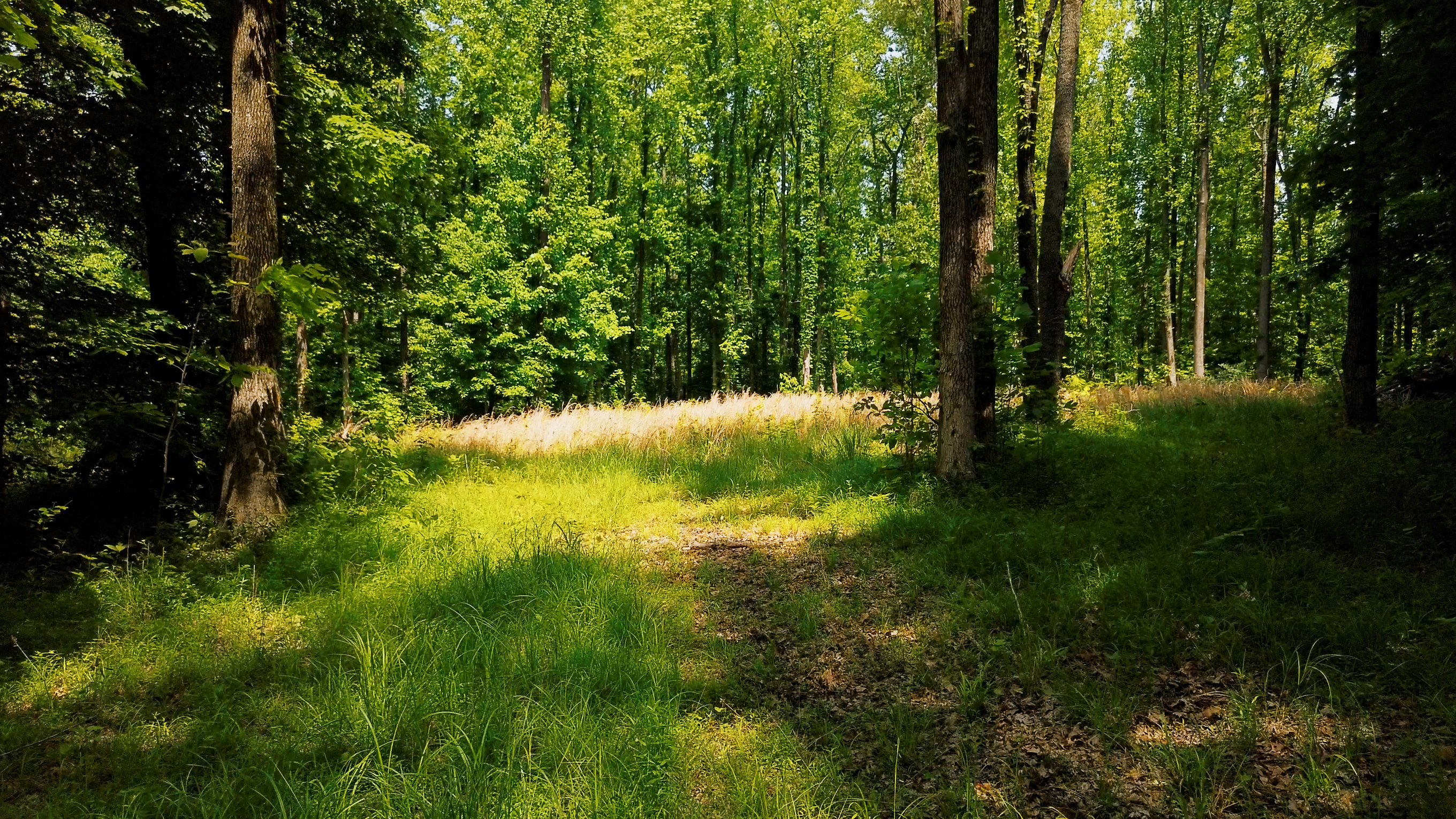 Villa Ridge 95