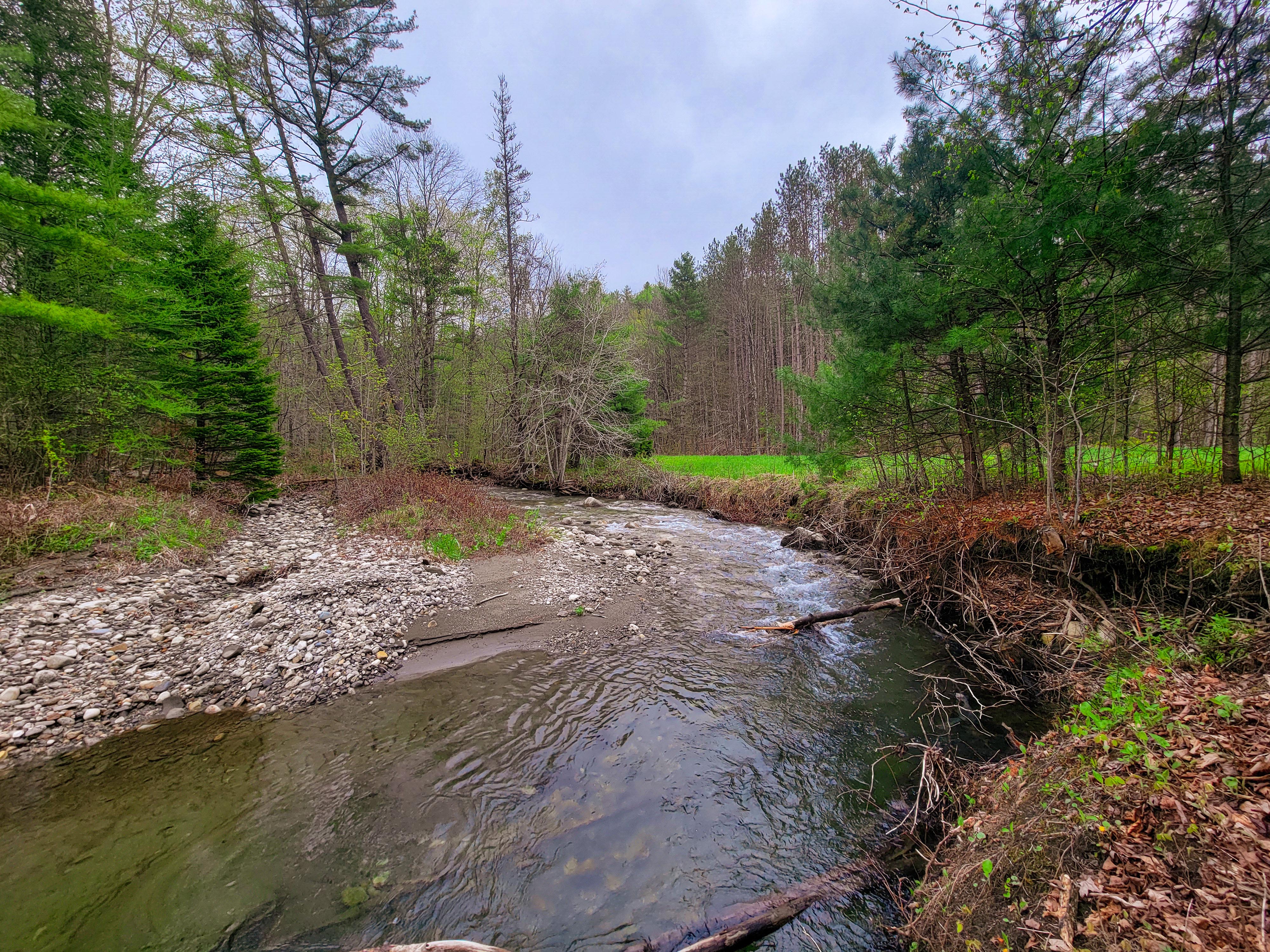 12 Meadowbrook Ln - Chelsea