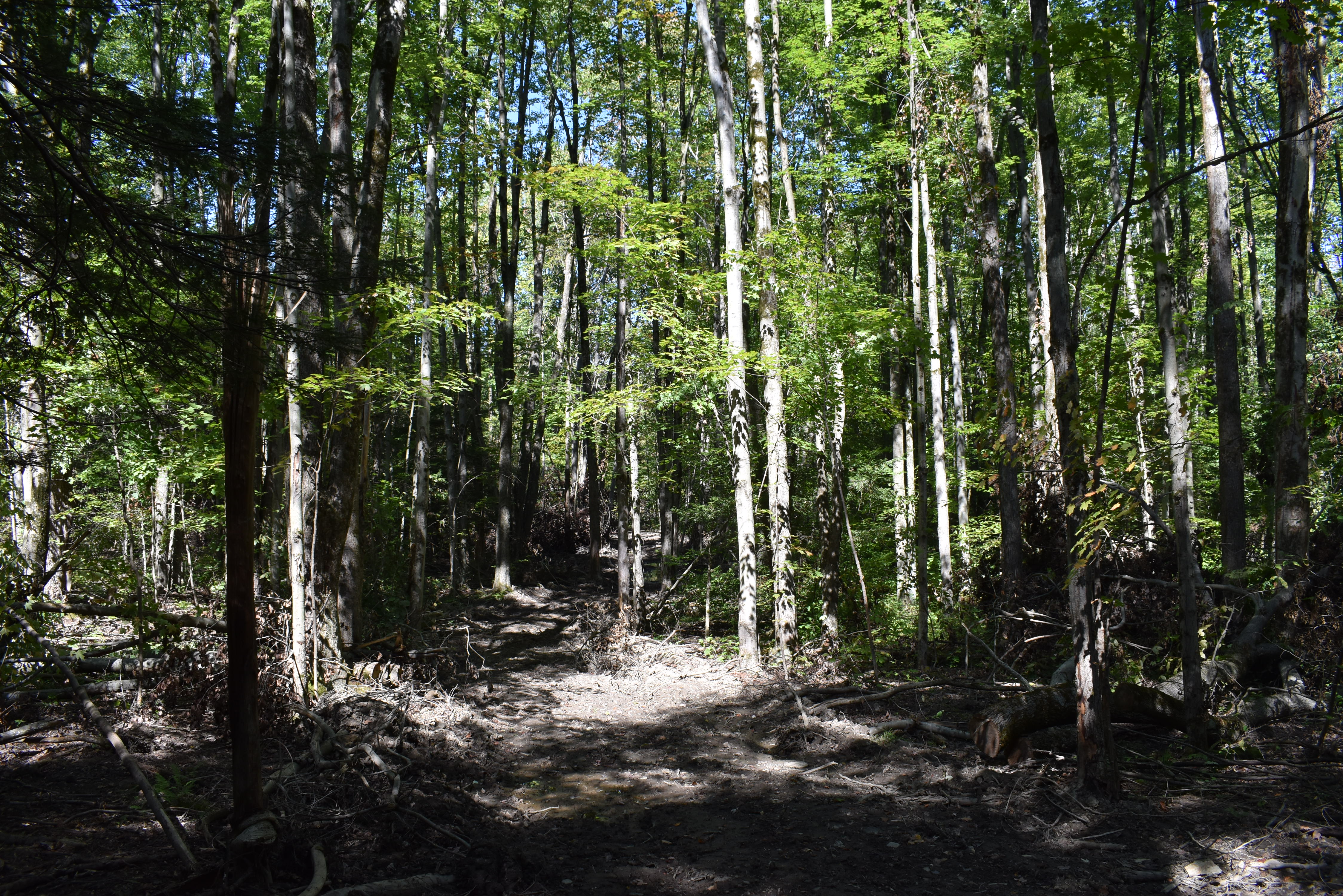Hunter's Hidden Treasure