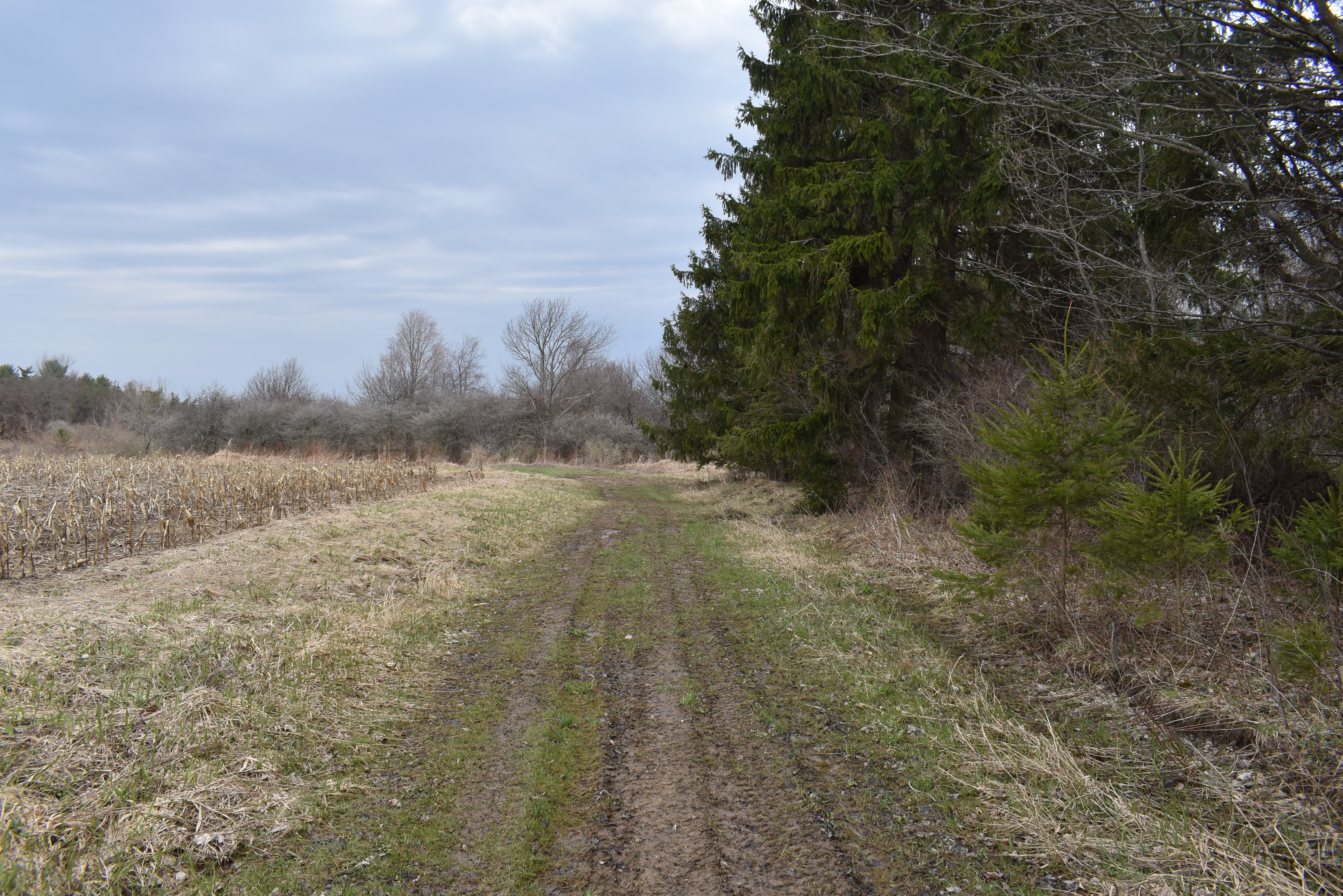Hammond Hill Hideaway