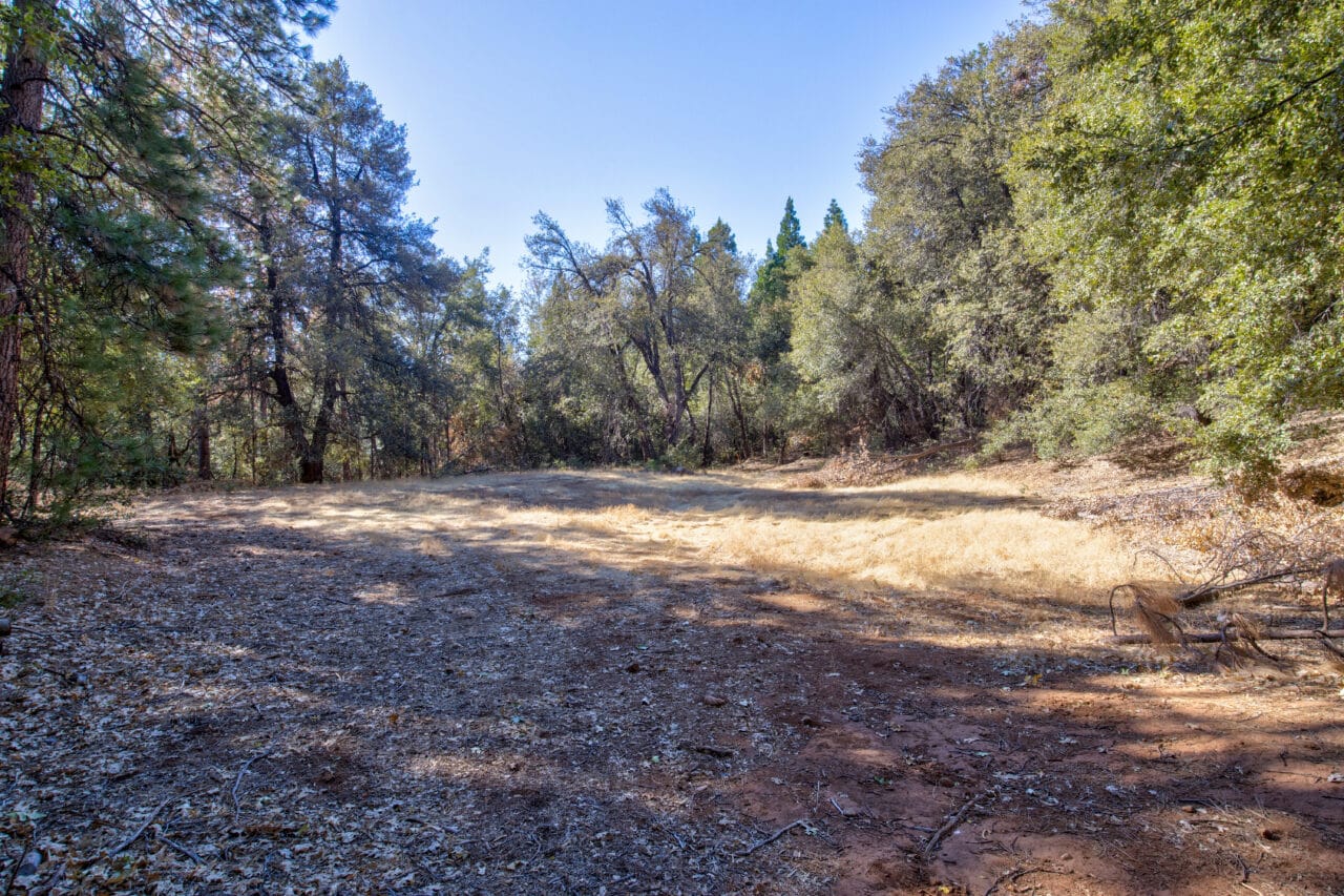 Listing Image 33