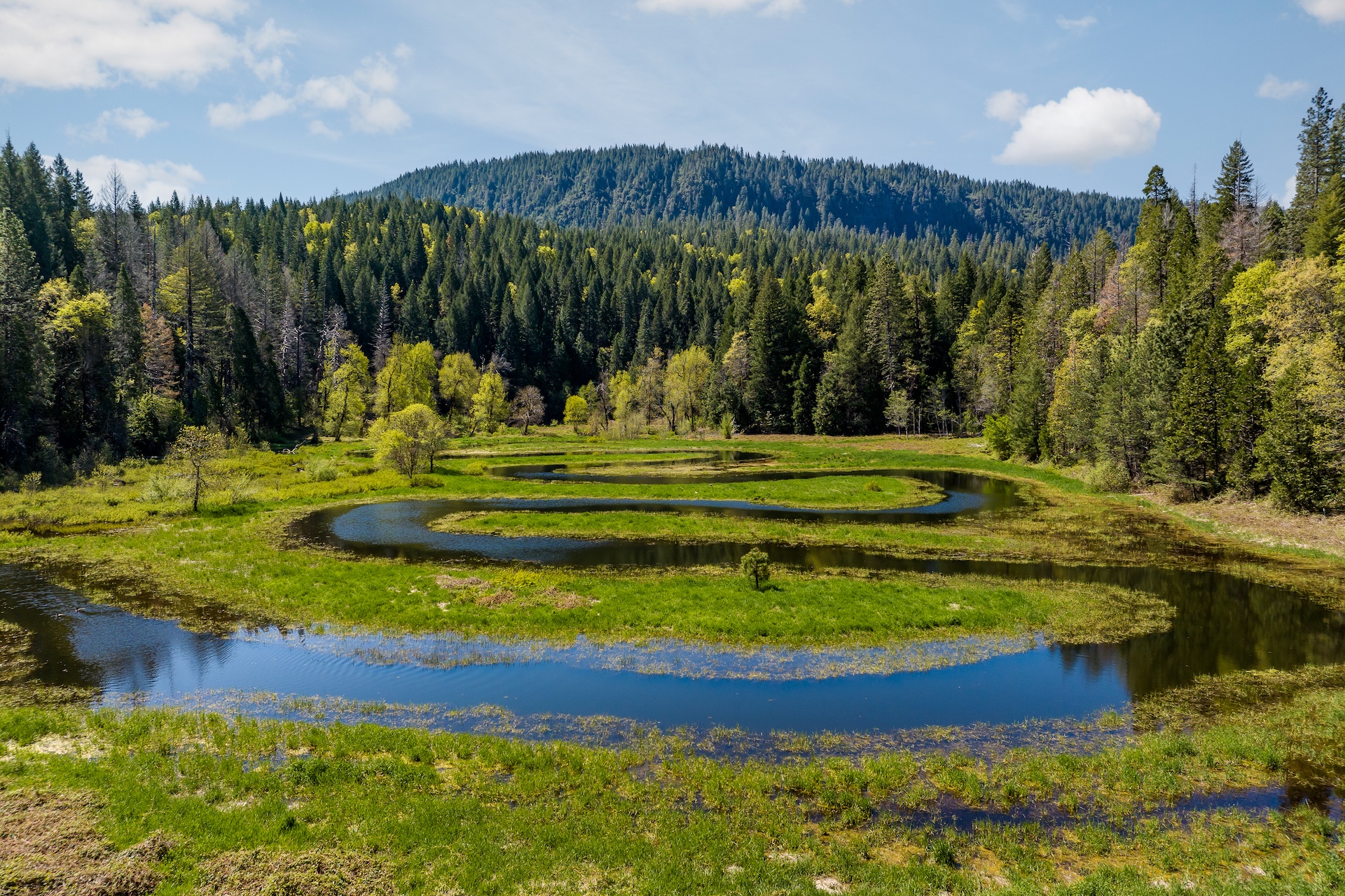 Hayes Springs Ranch