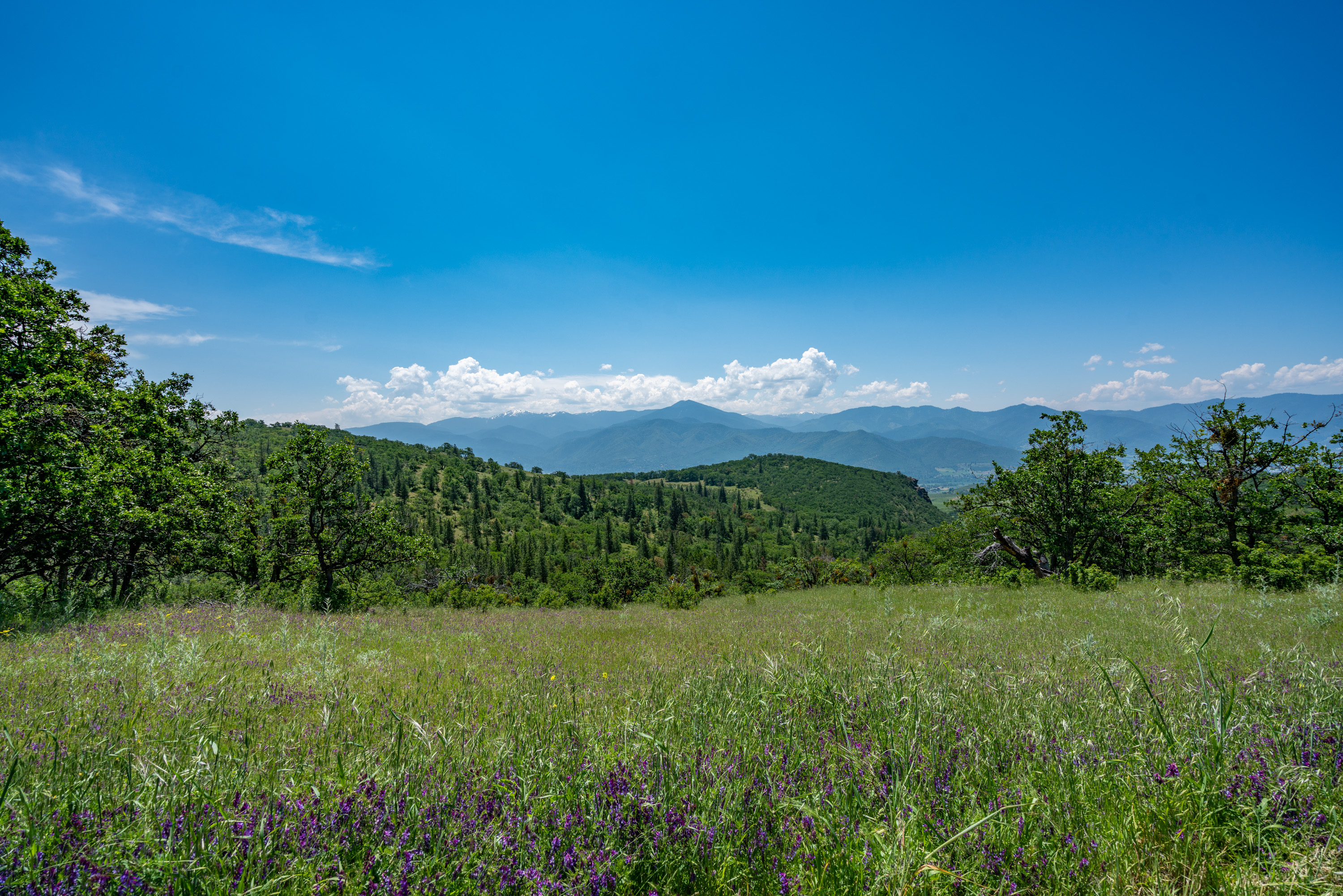 Listing Image 84