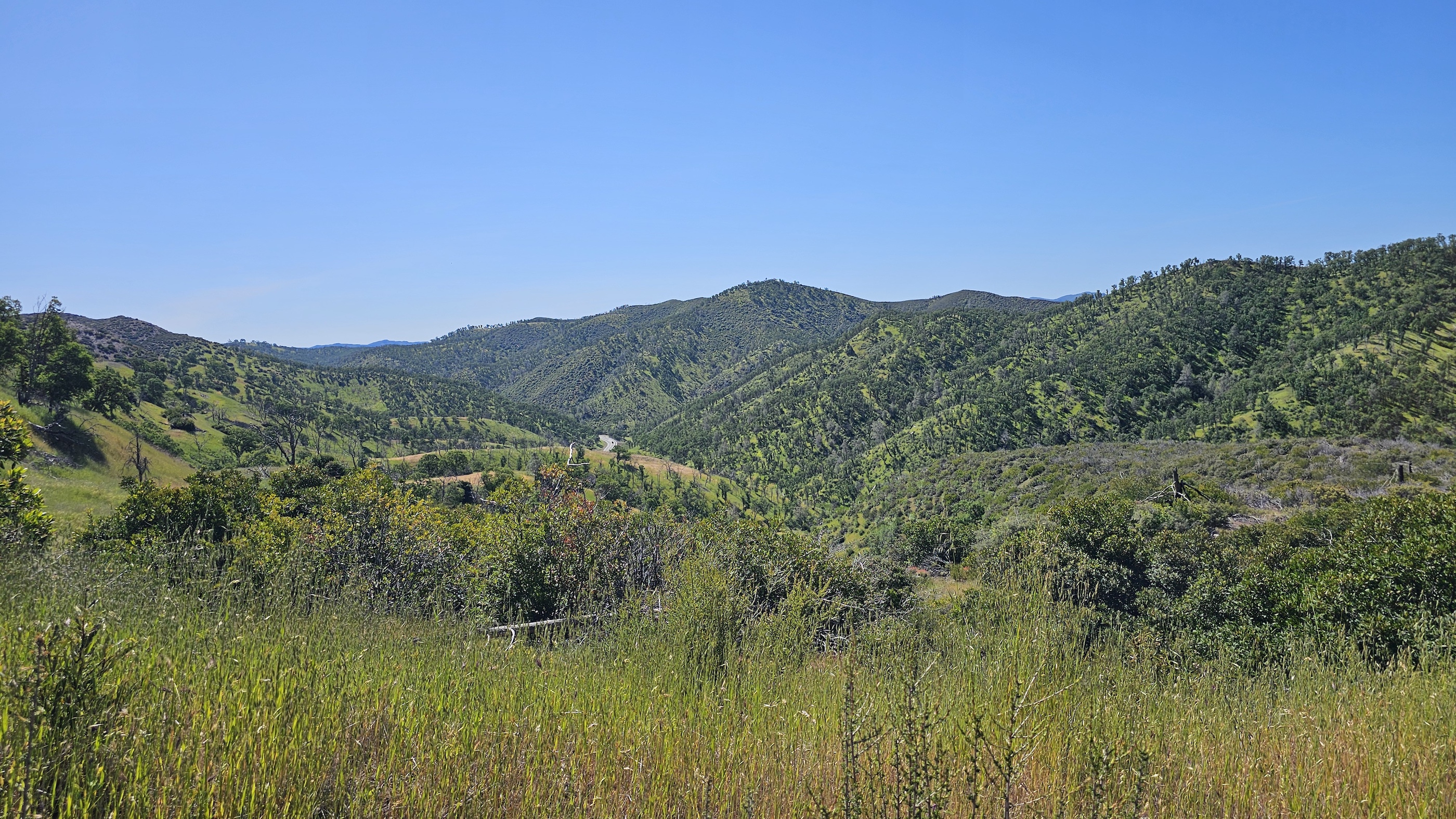 Lake County Ranch