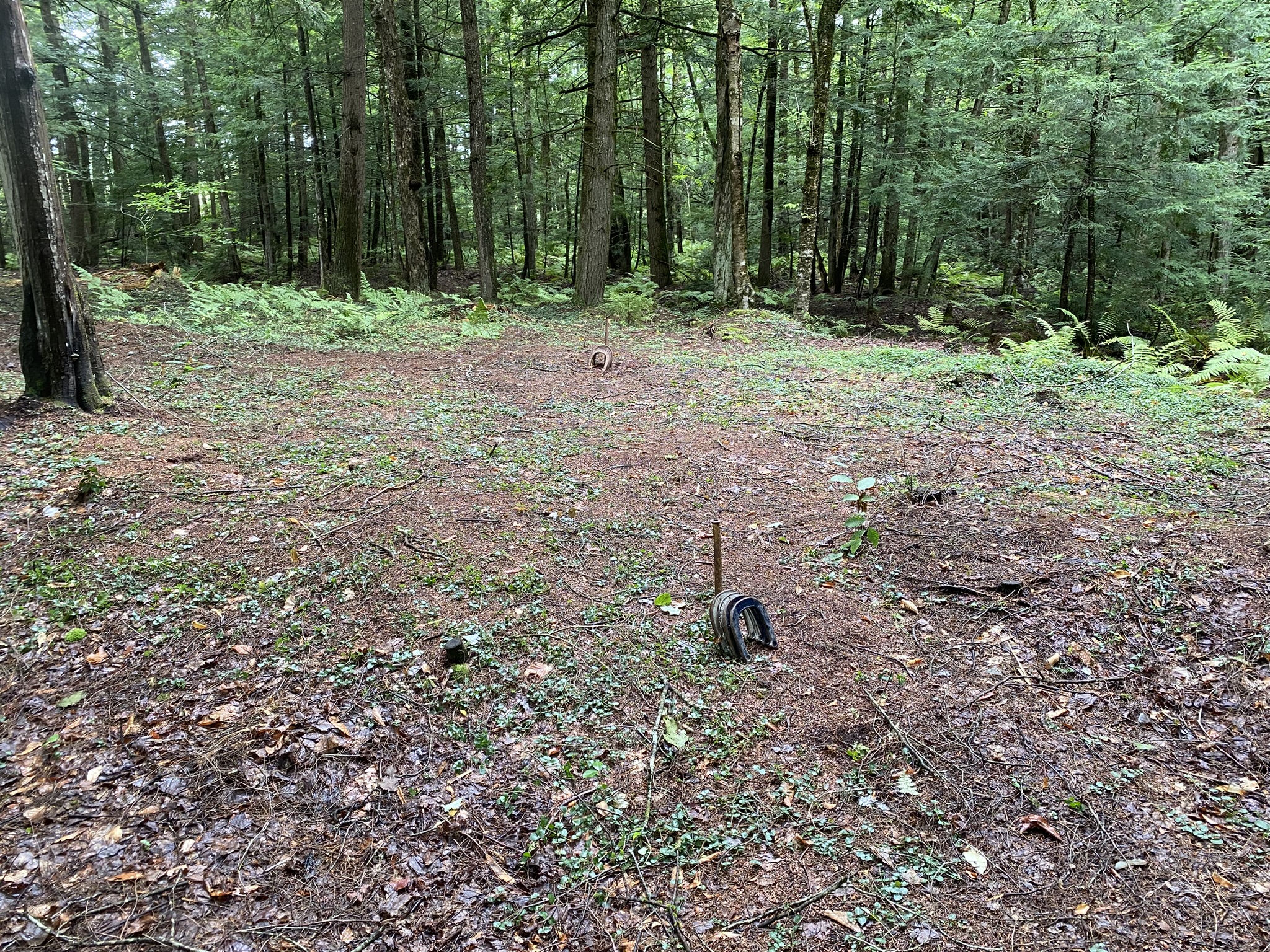 Cabin on the Little River