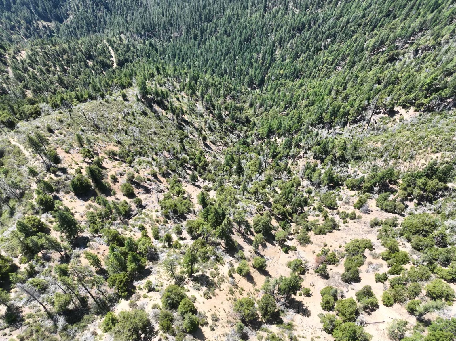 160 Acres Hyampom