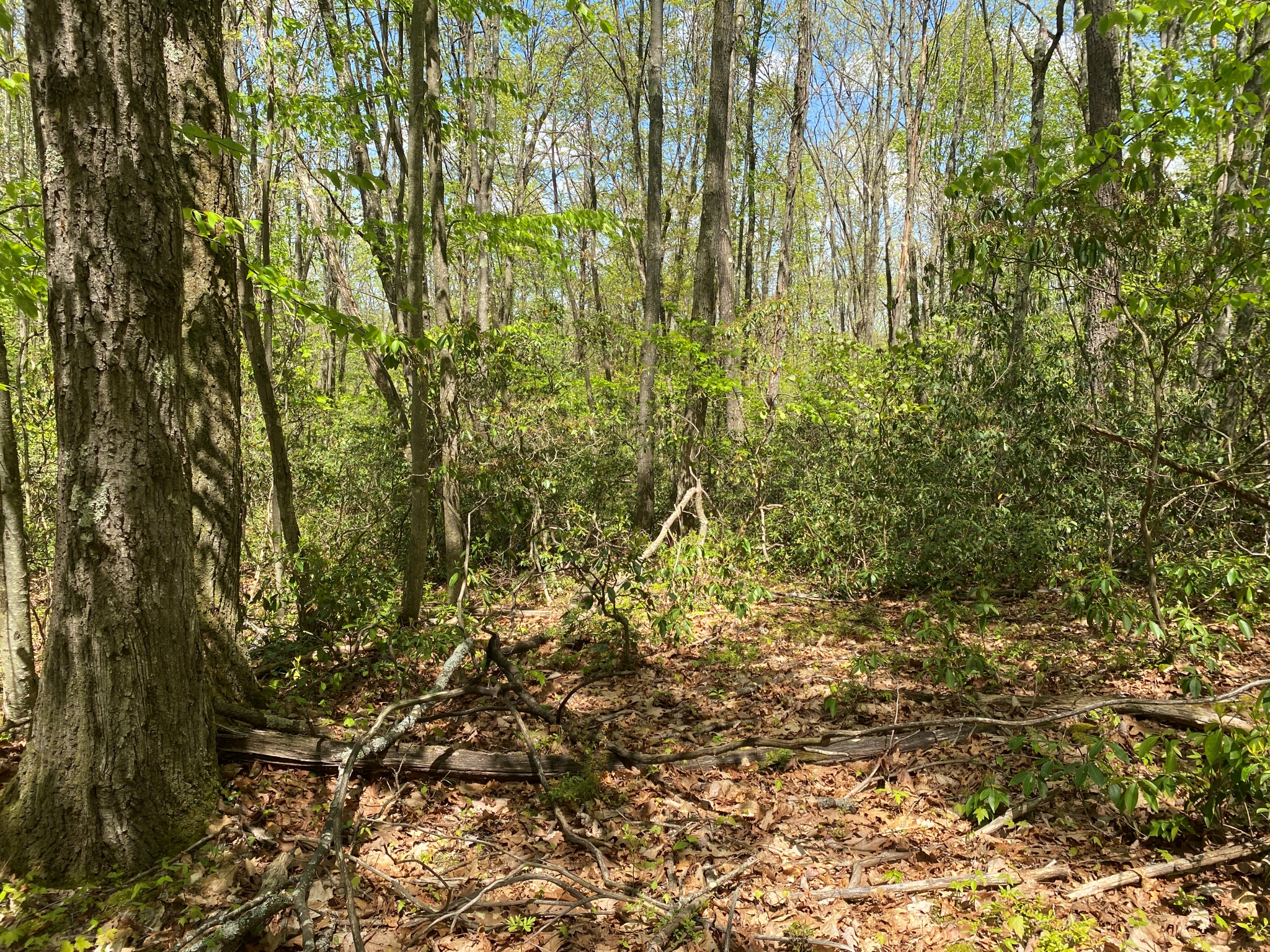 Listing Image 17