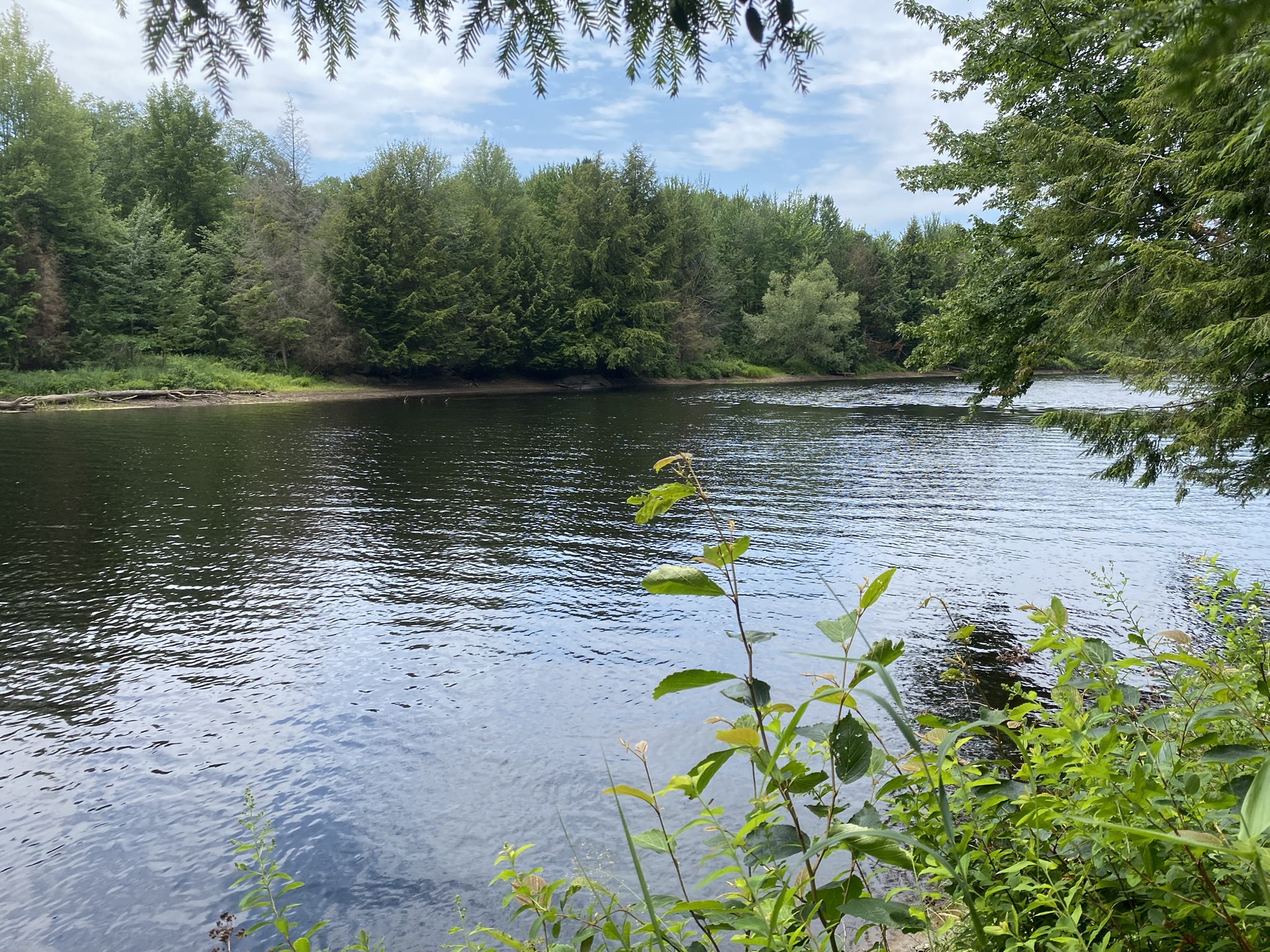 Listing Image 75