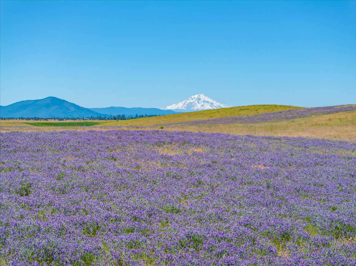 Mystic Mountain Ranch