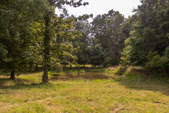 7 Pasture Farm