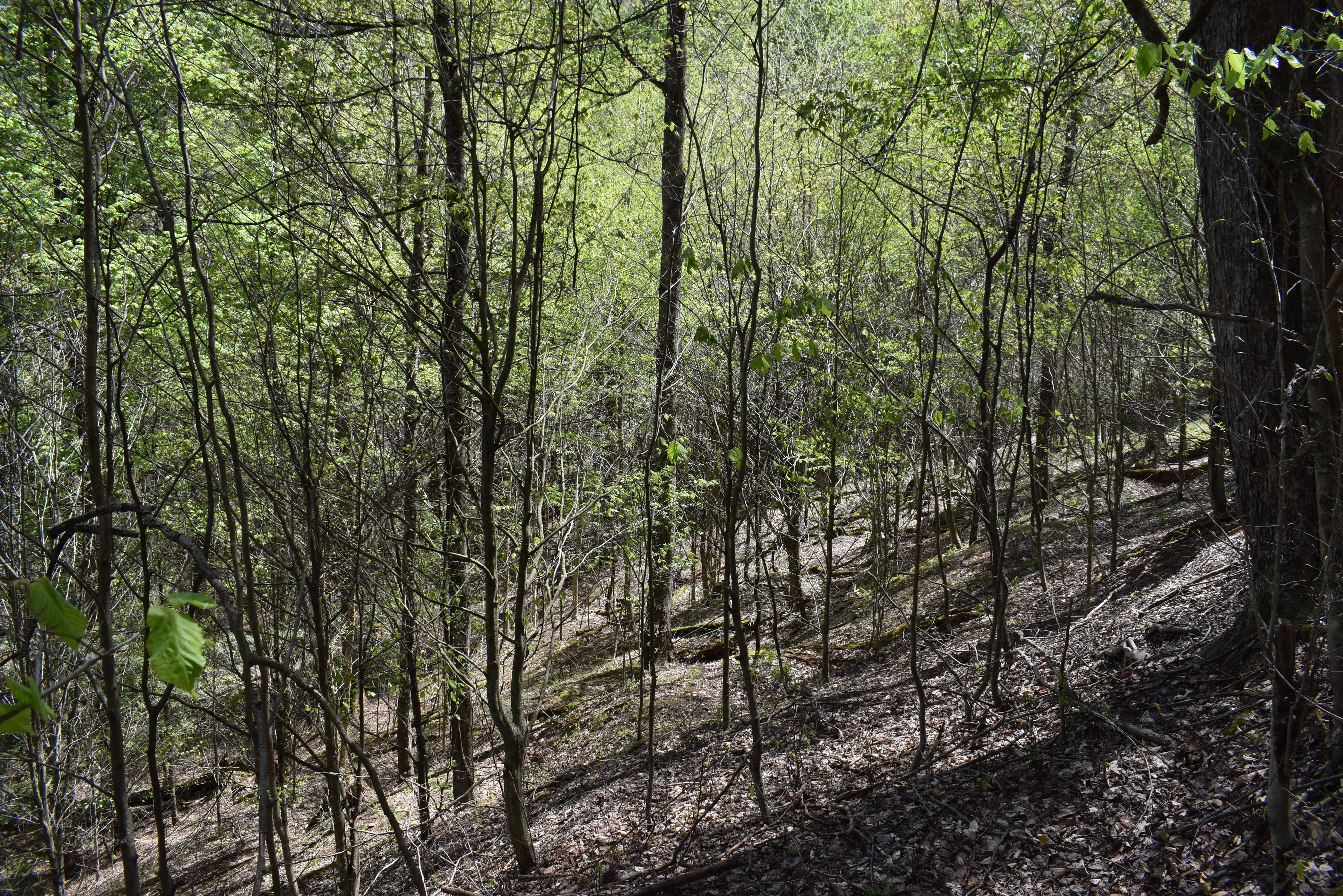 Listing Image 21