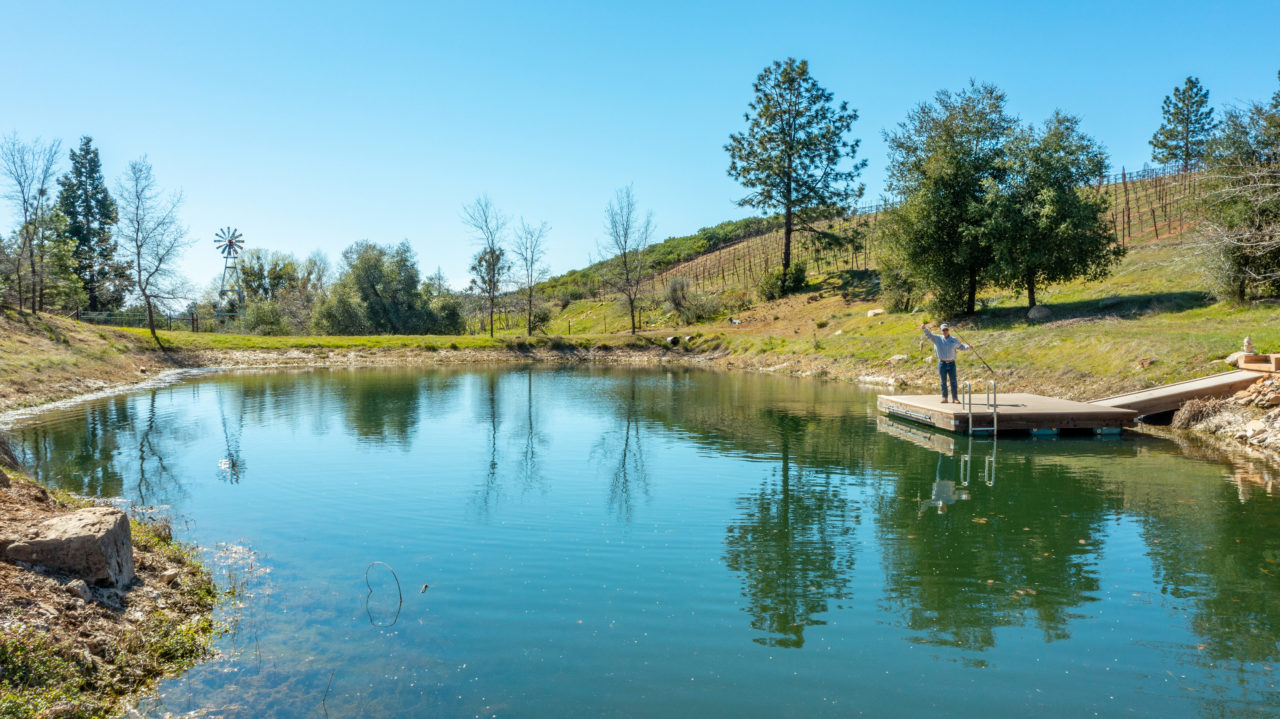 Tailem Bend Ranch and Vineyard