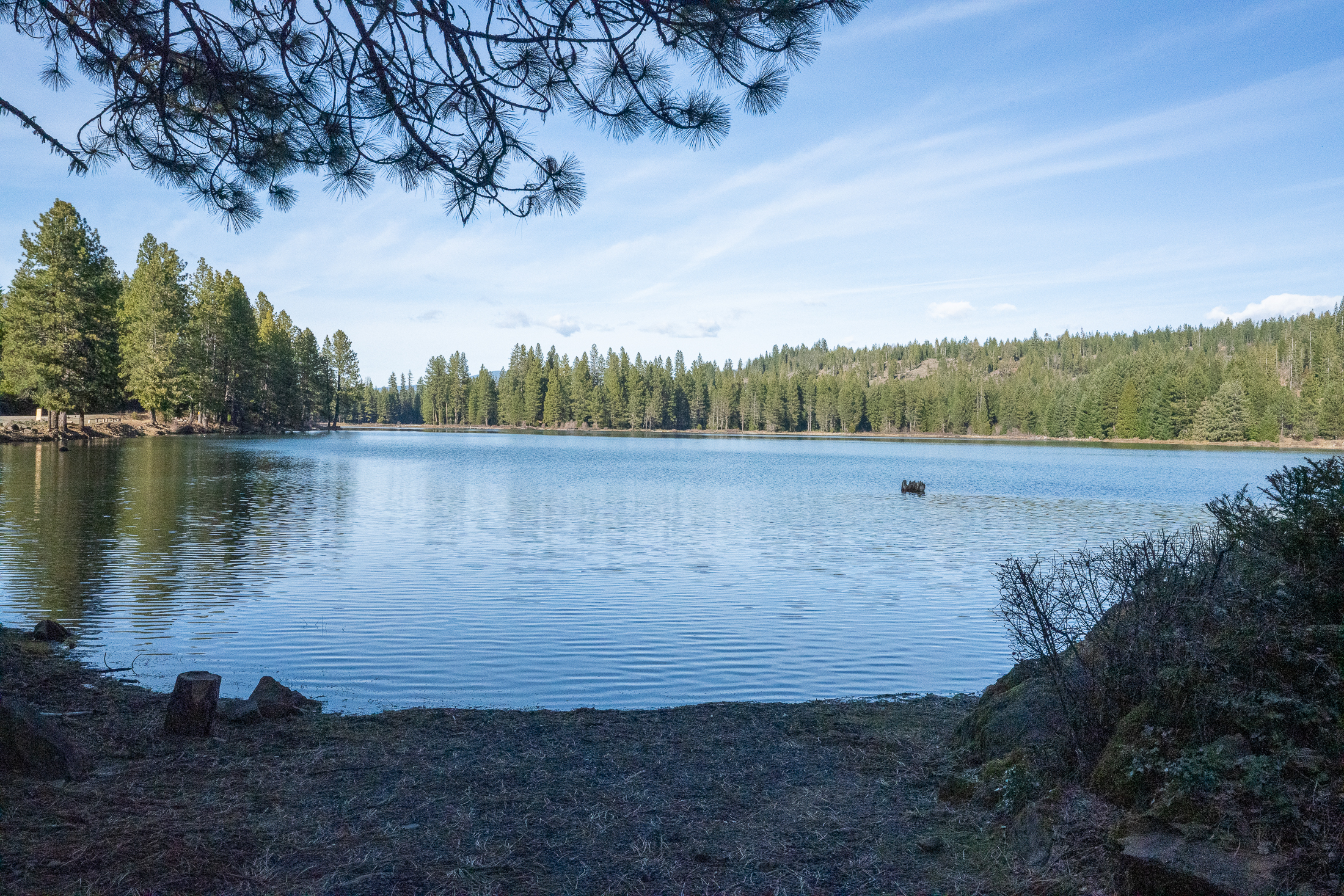 Medco Pond- Recreational Retreat