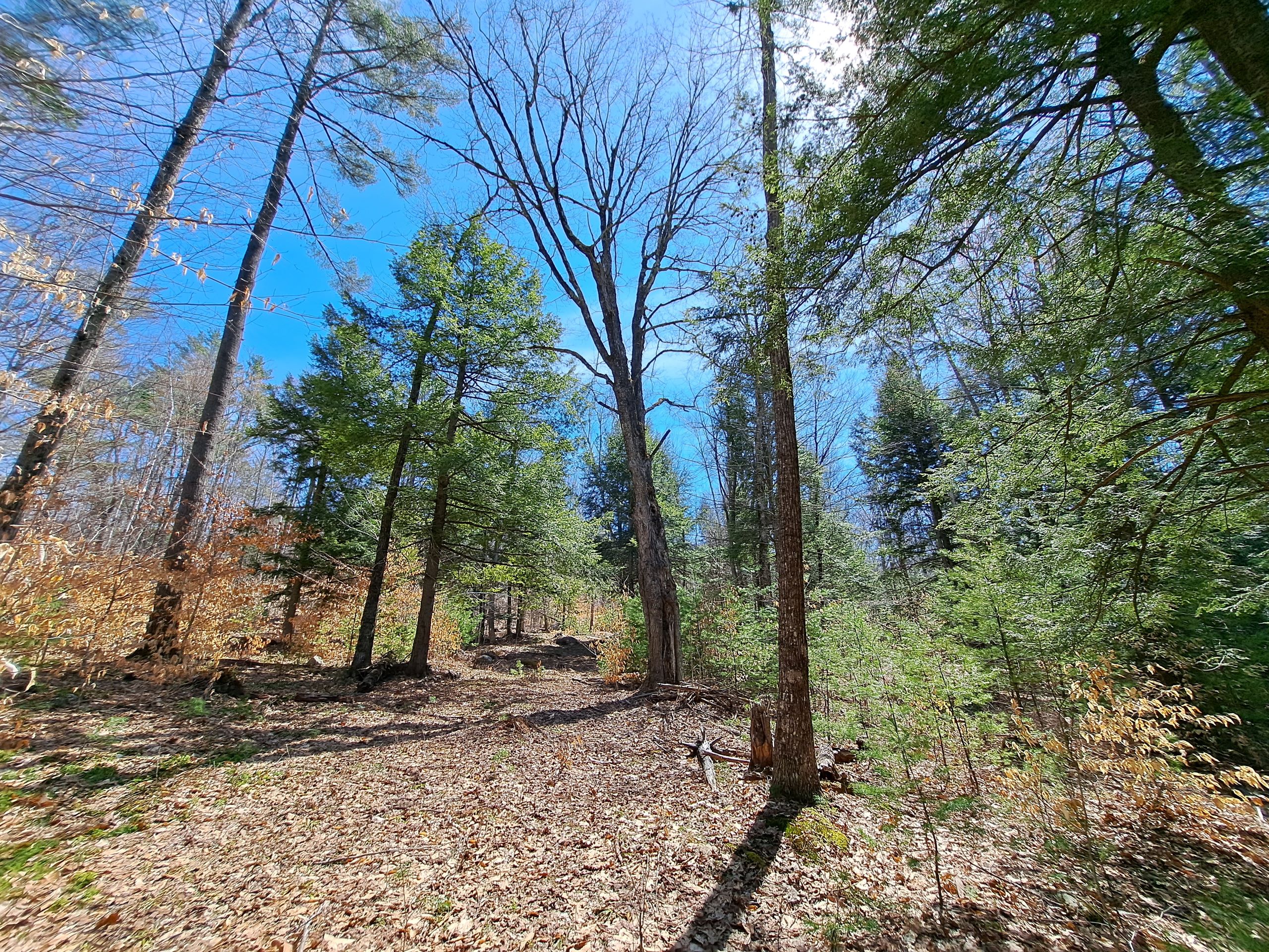 Listing Image 33