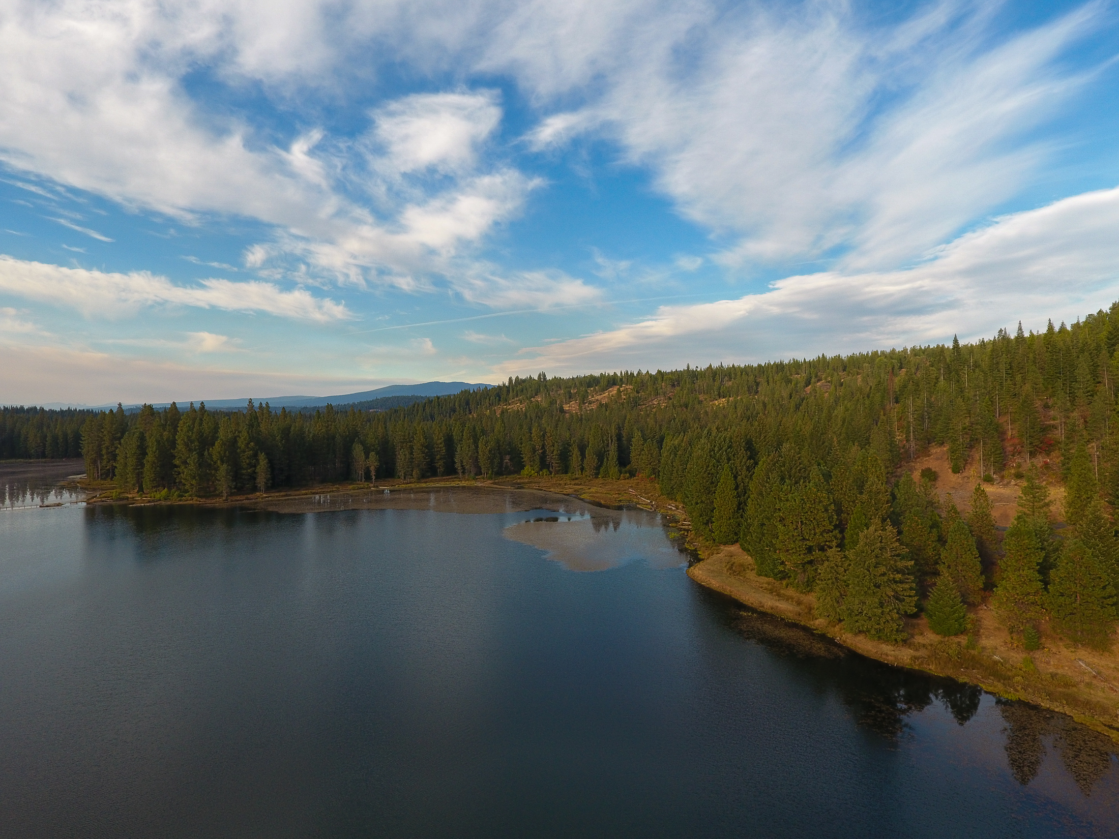 Medco Pond- Recreational Retreat