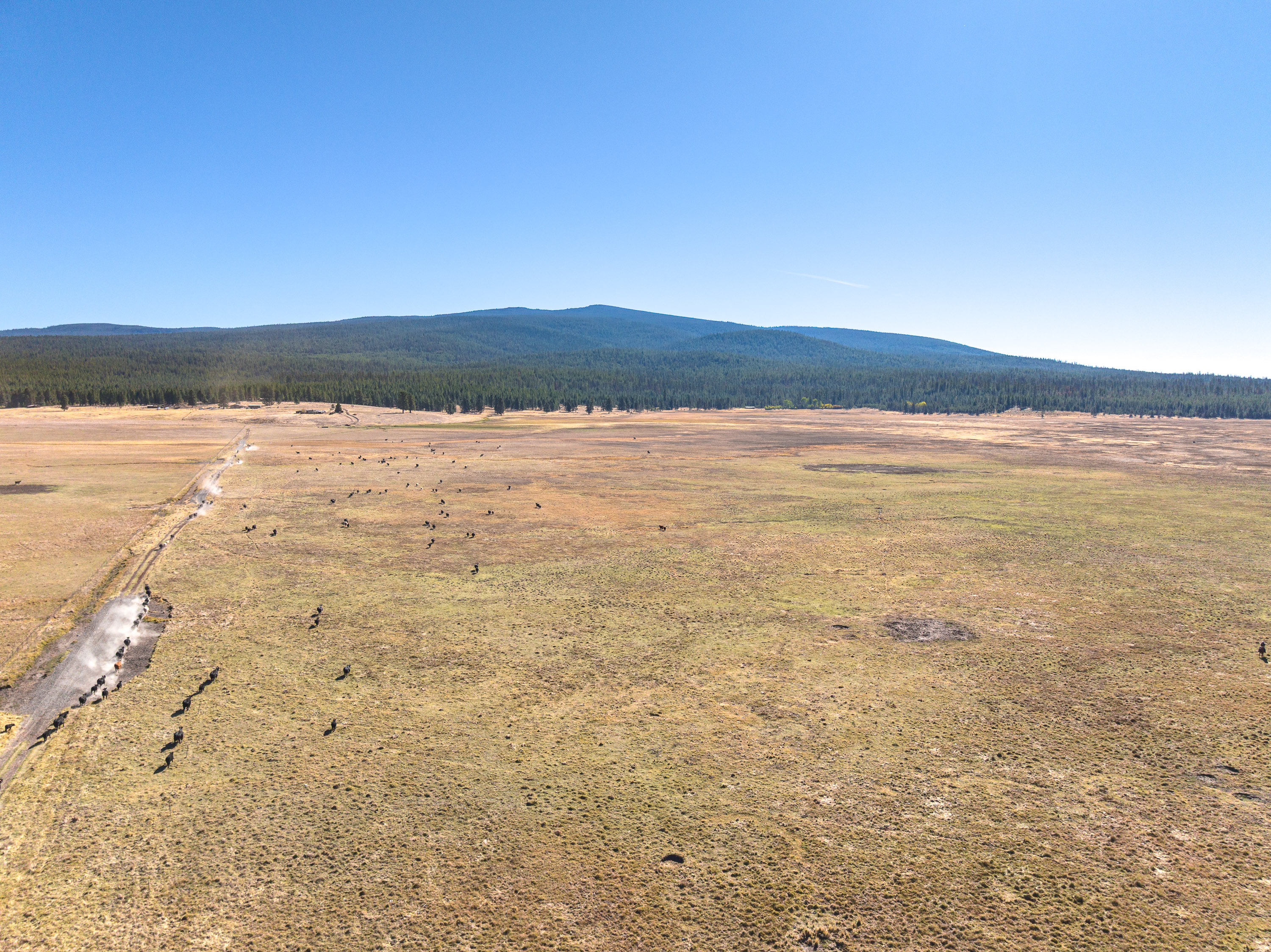 Listing Image 83